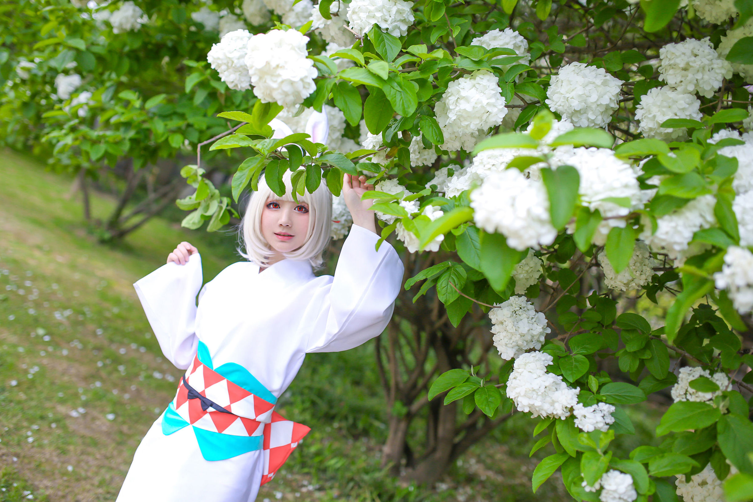 Cosplay ภาพถ่าย] บล็อกเกอร์อนิเมะ 弦音sic - ออนมิโยจิ ซันทู