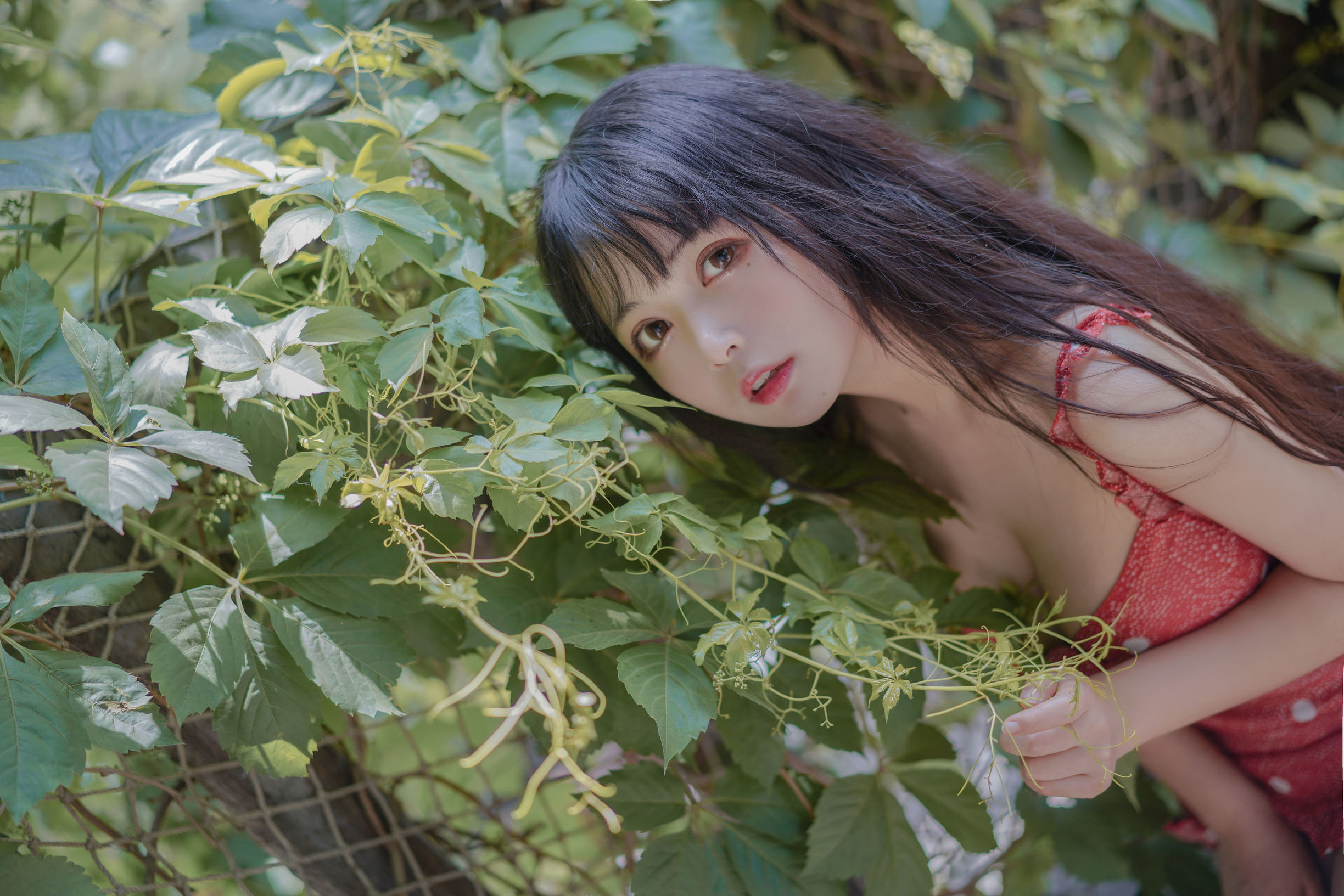 コスプレ写真] 大きな瞳の可愛い黒猫猫OvO - いちご