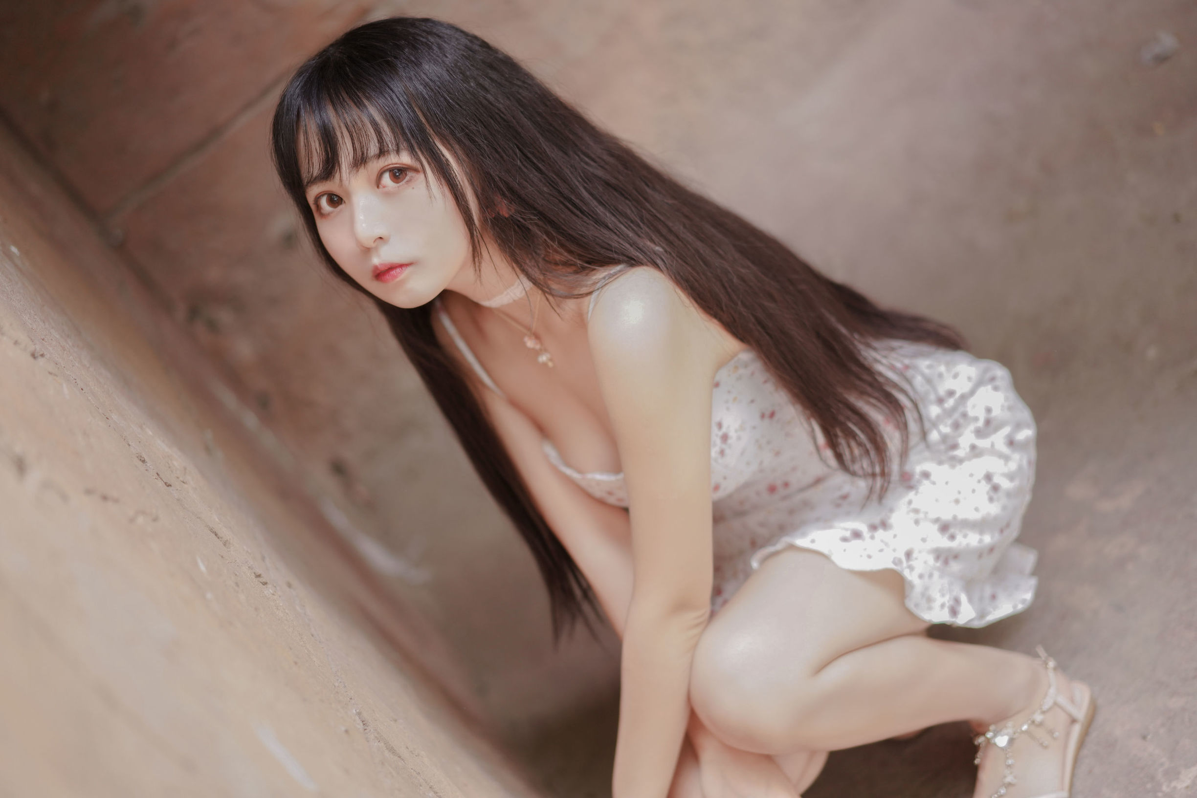 Mèo Đường Điện Ảnh] VOL.318 Gió Nổi
