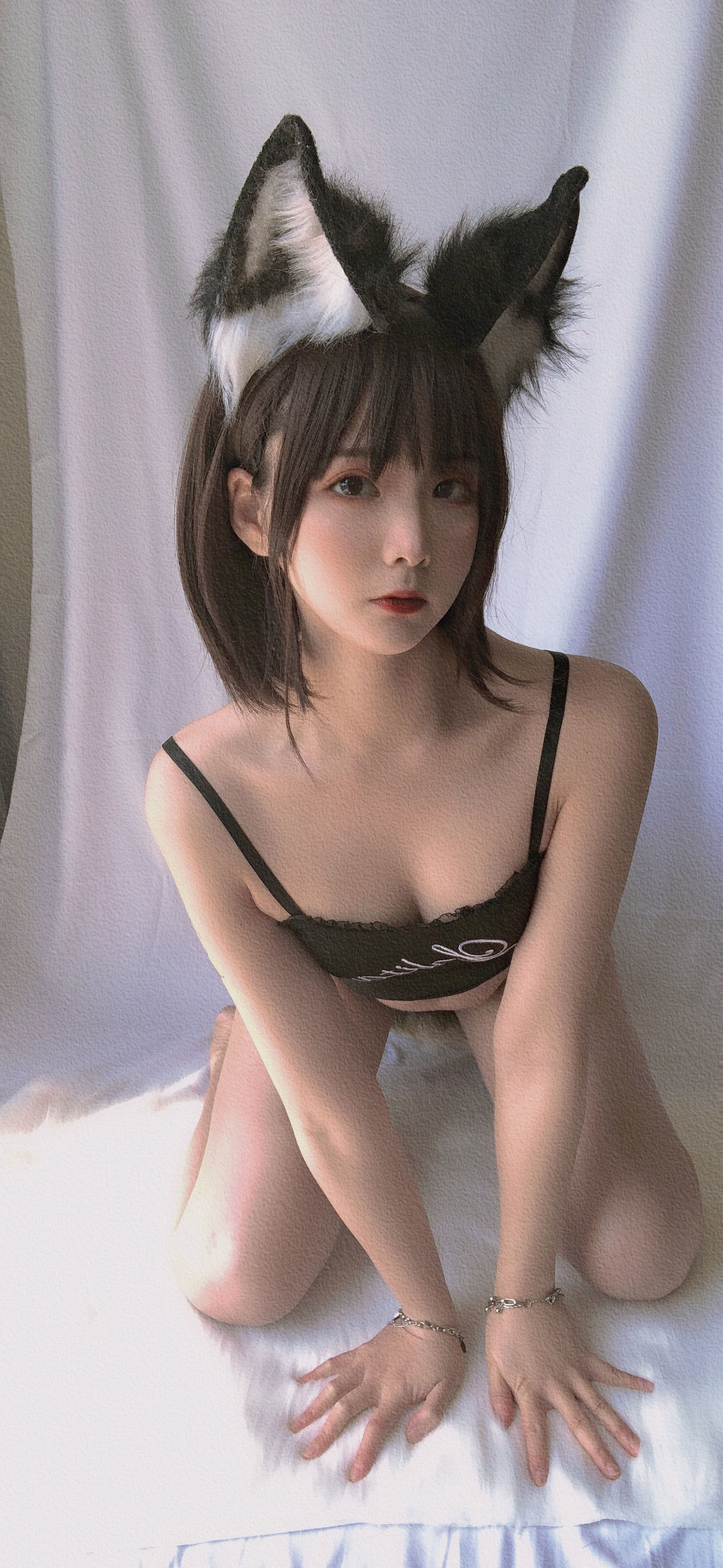 Internet Celebrity Coser] Cute Girl is Qing Shui - Little Wolf