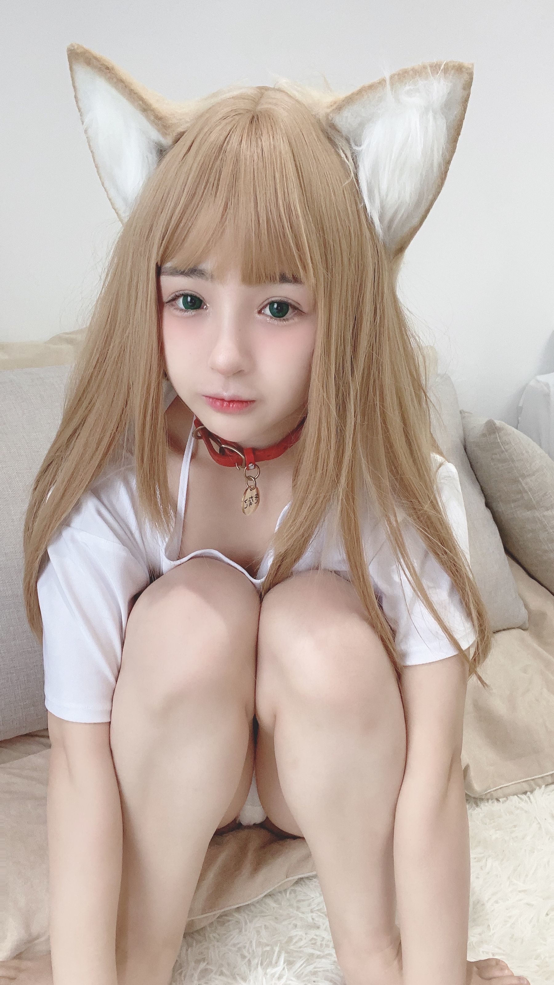 コスプレ] 桜井ニンニン - 猫娘