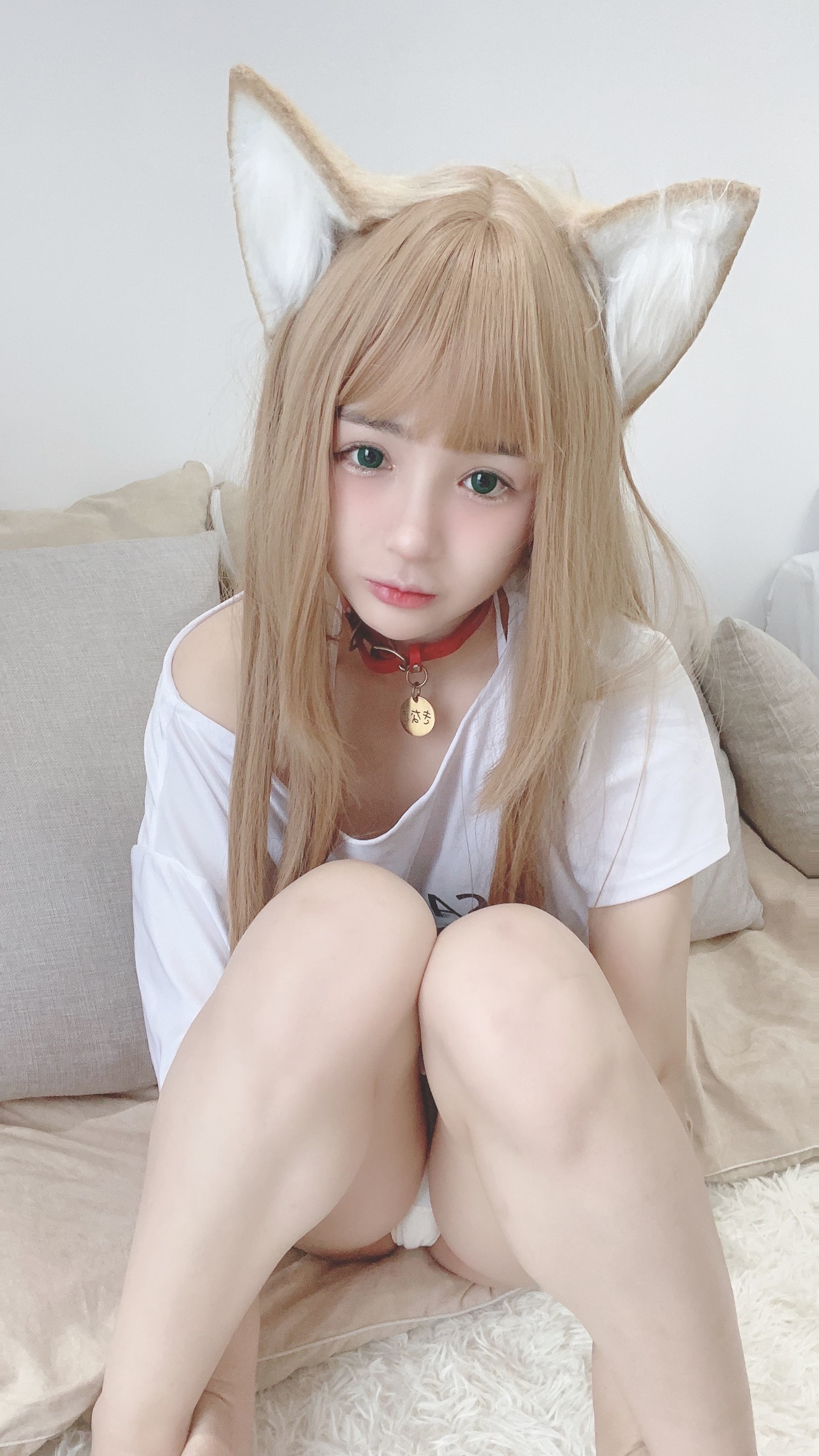 コスプレ] 桜井ニンニン - 猫娘