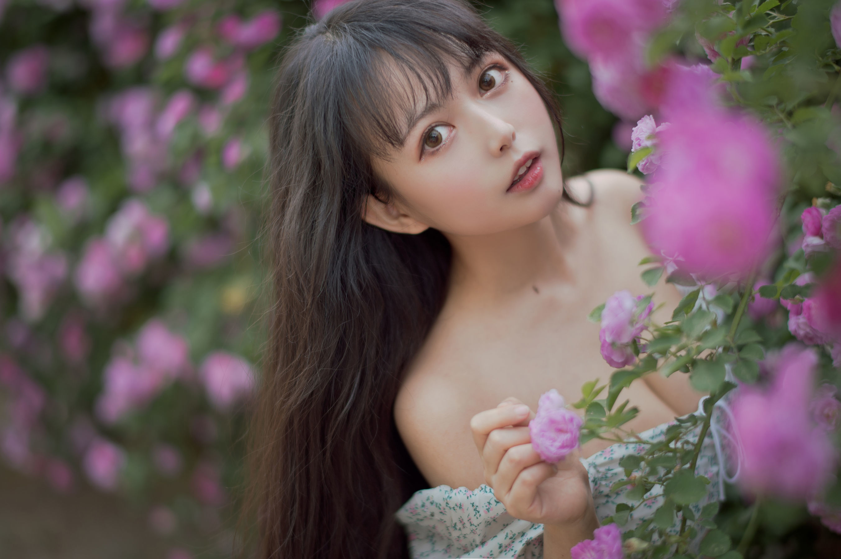 喵糖電影] VOL.338 薔薇少女