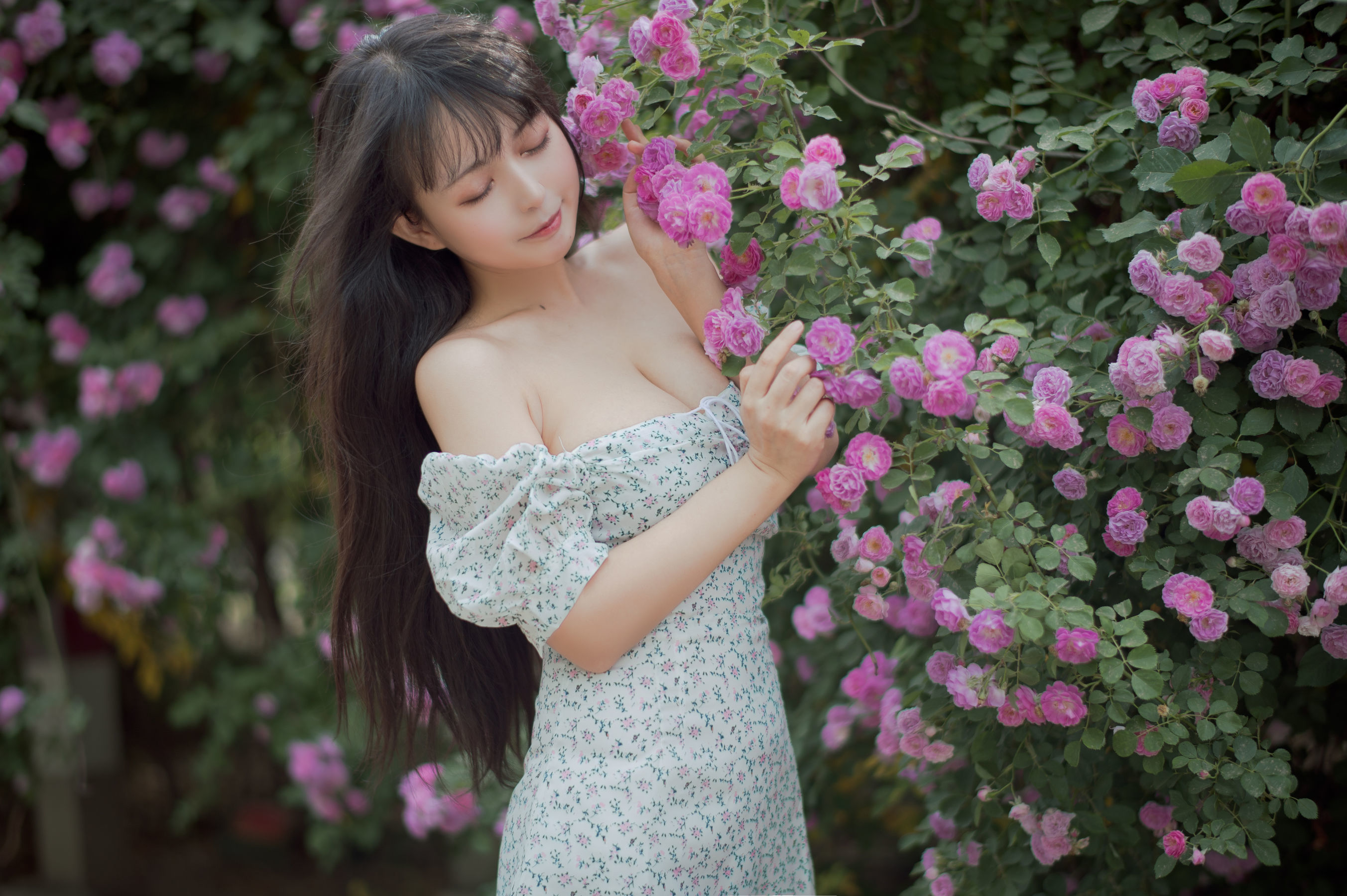 喵糖電影] VOL.338 薔薇少女