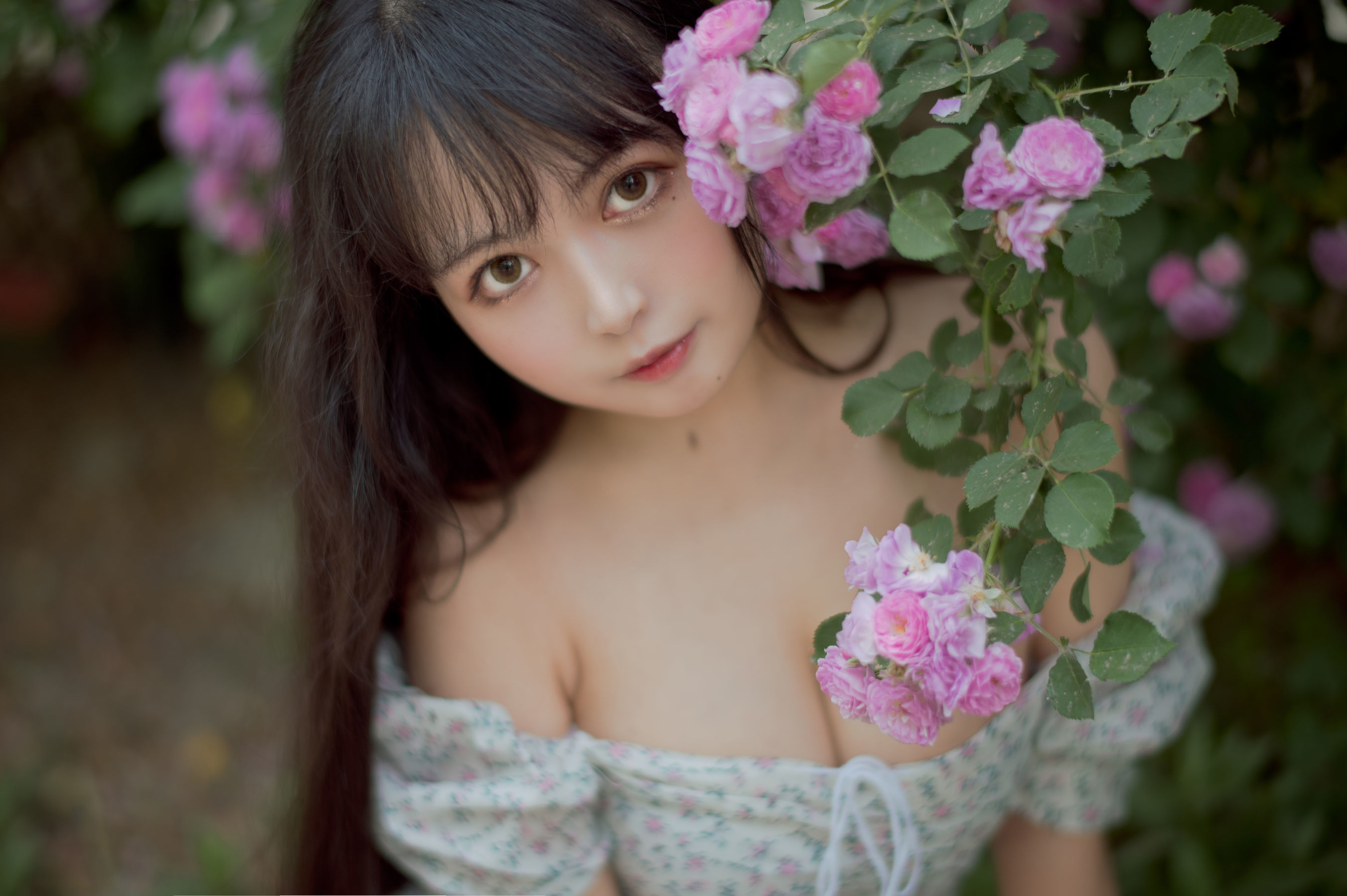 喵糖電影] VOL.338 薔薇少女