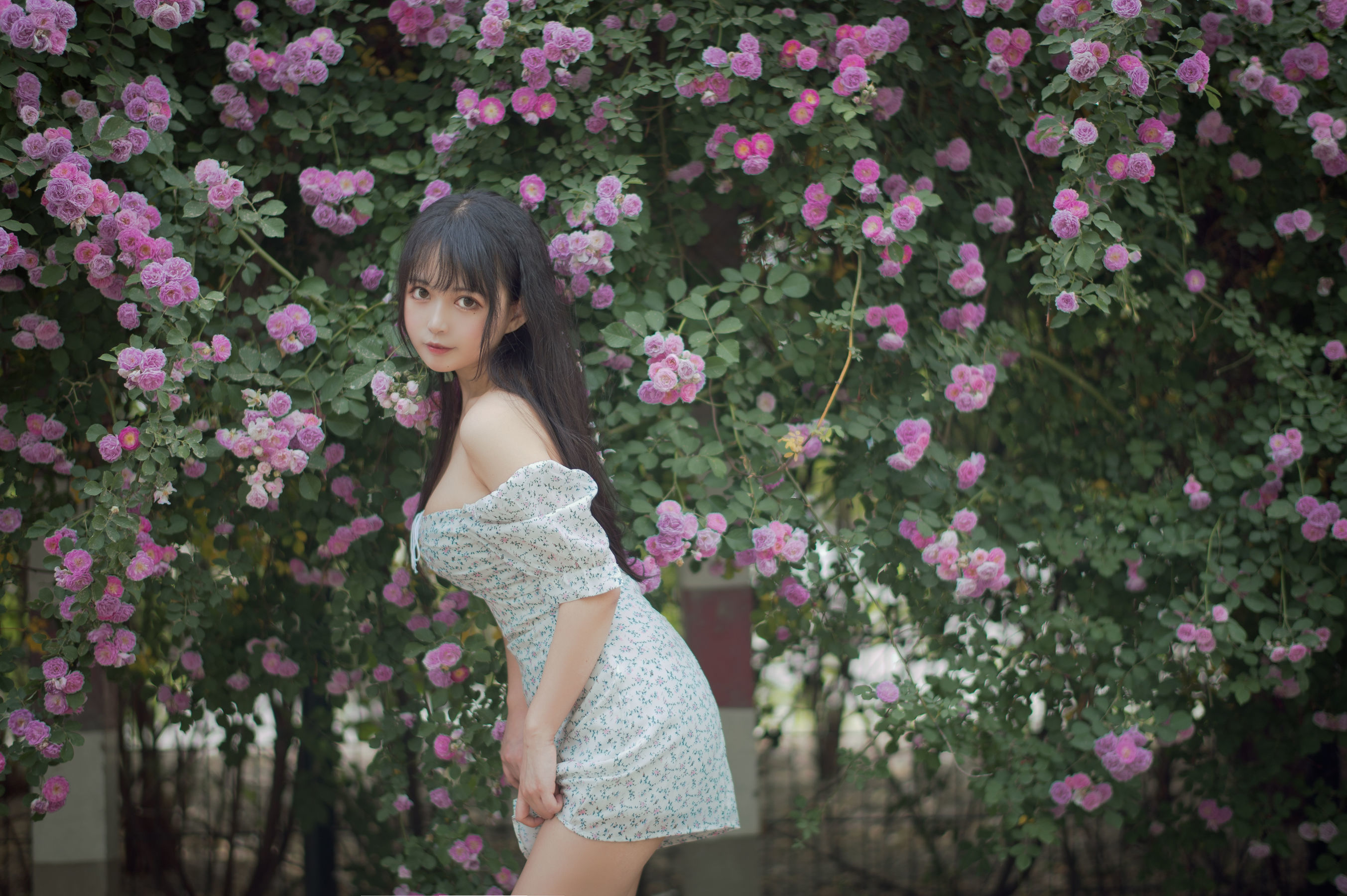 喵糖電影] VOL.338 薔薇少女
