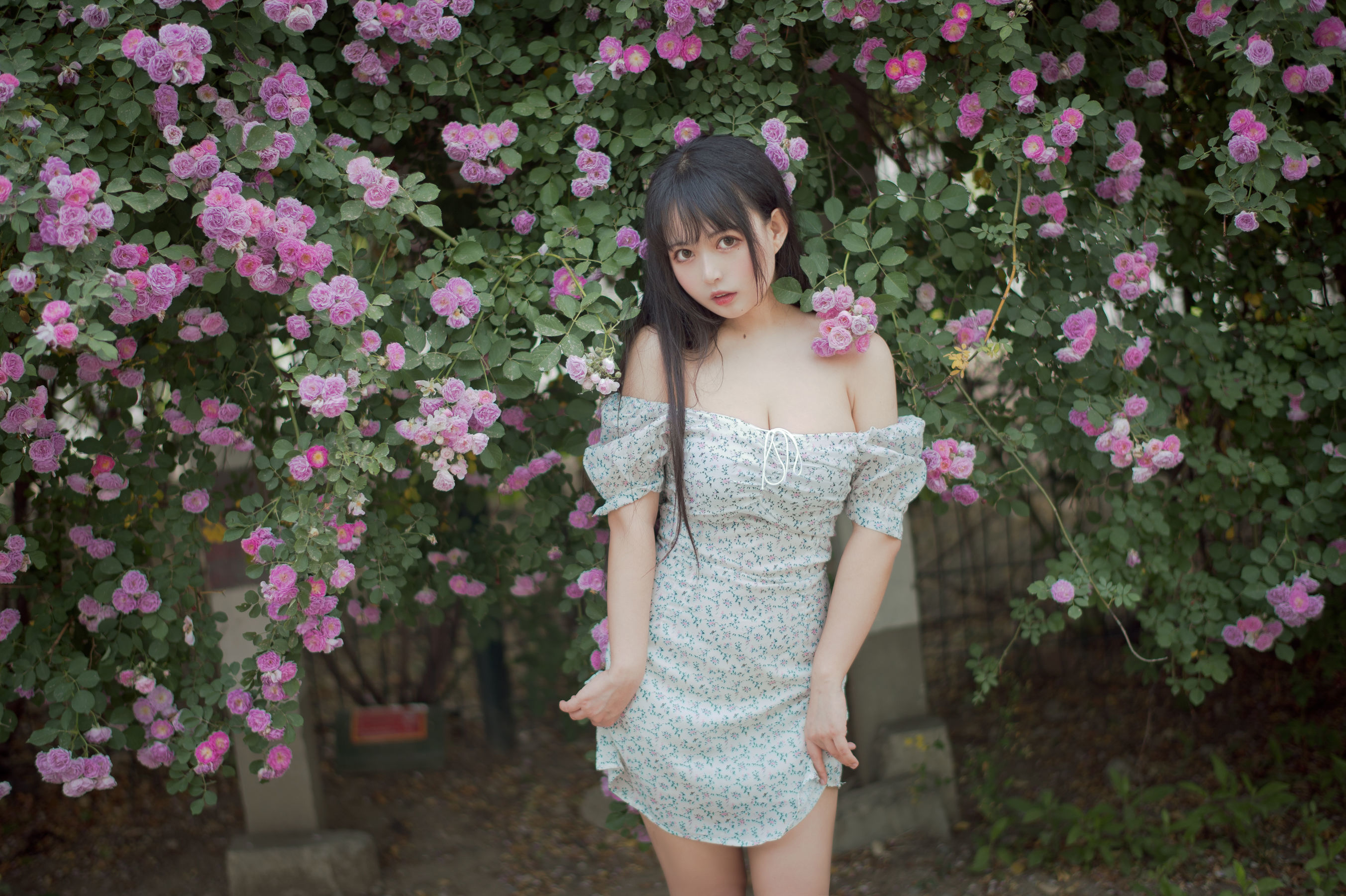喵糖電影] VOL.338 薔薇少女