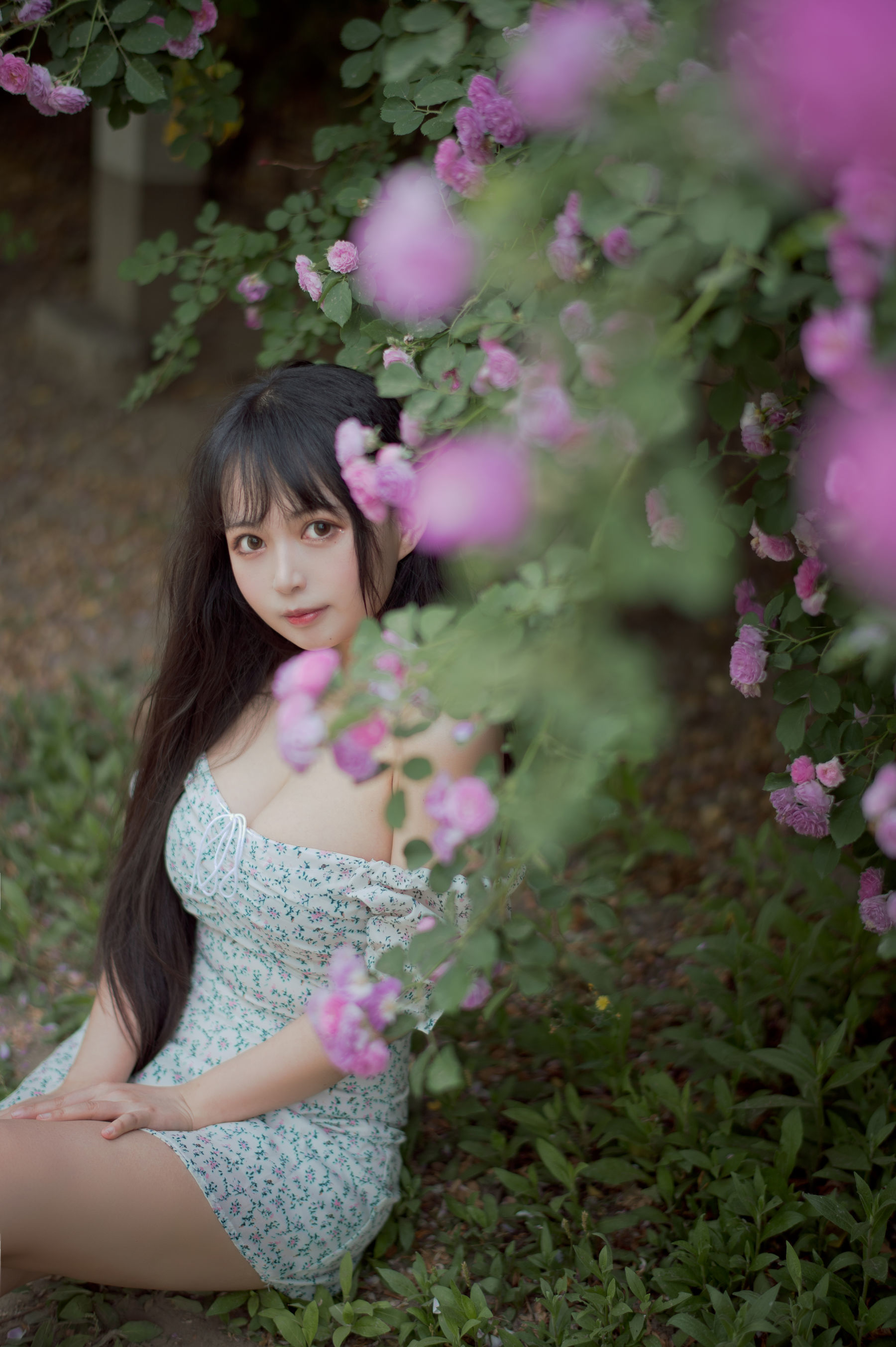 喵糖電影] VOL.338 薔薇少女