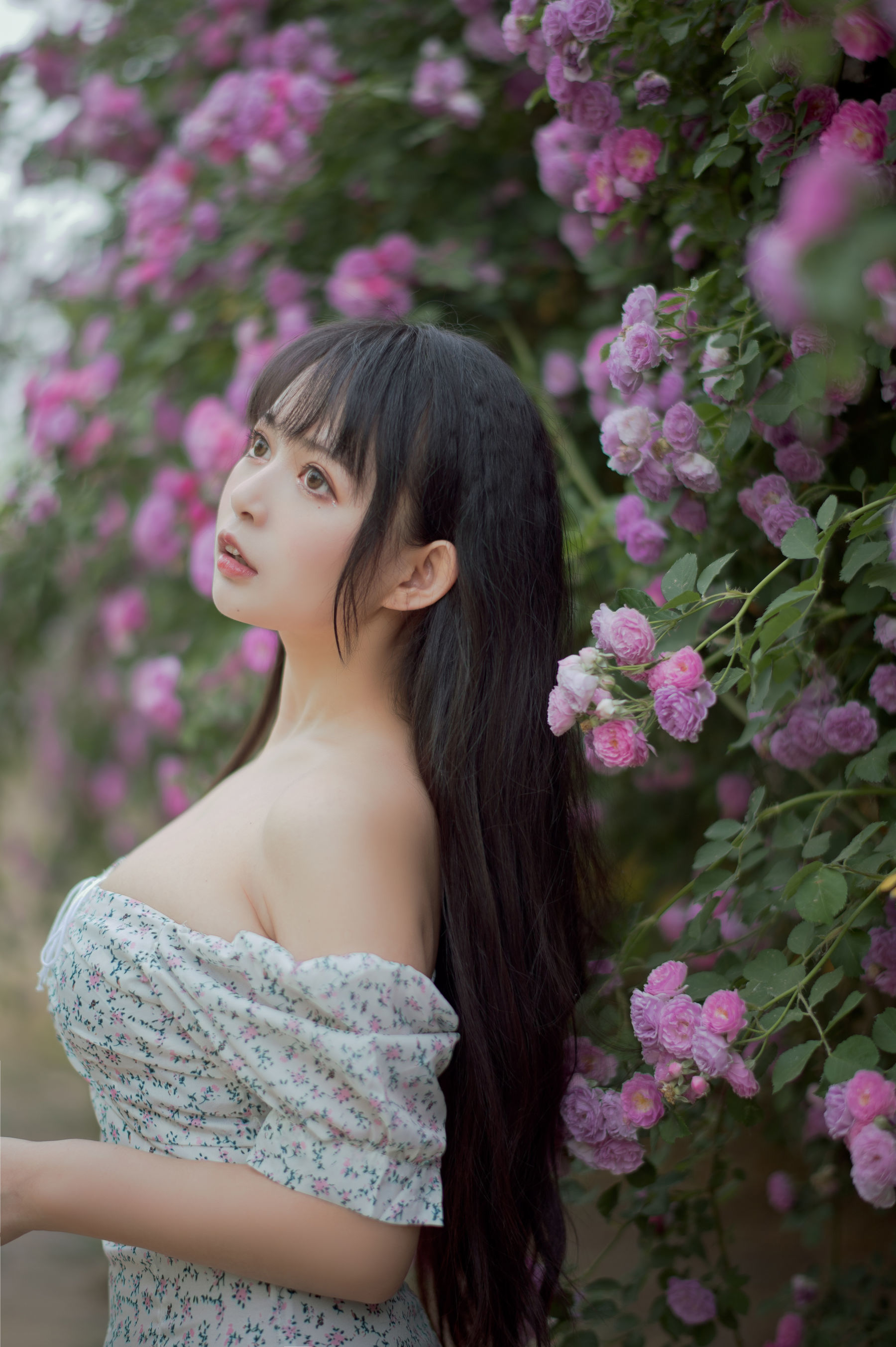 喵糖電影] VOL.338 薔薇少女