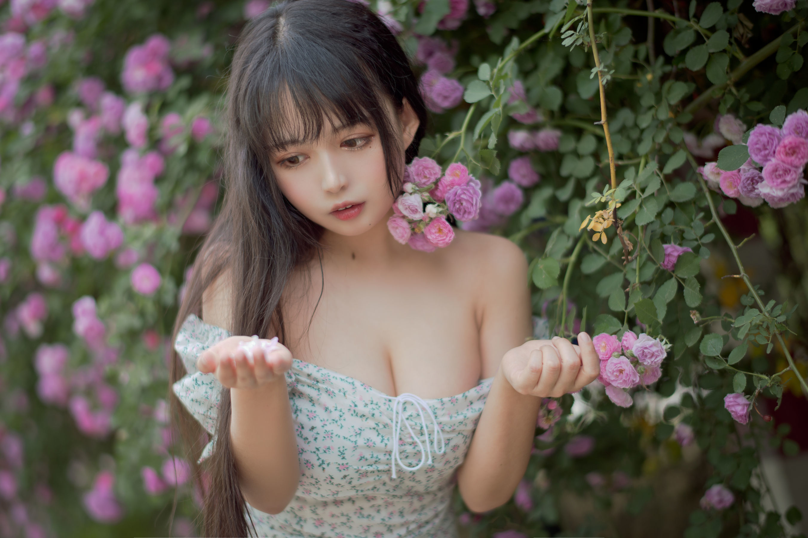 喵糖電影] VOL.338 薔薇少女