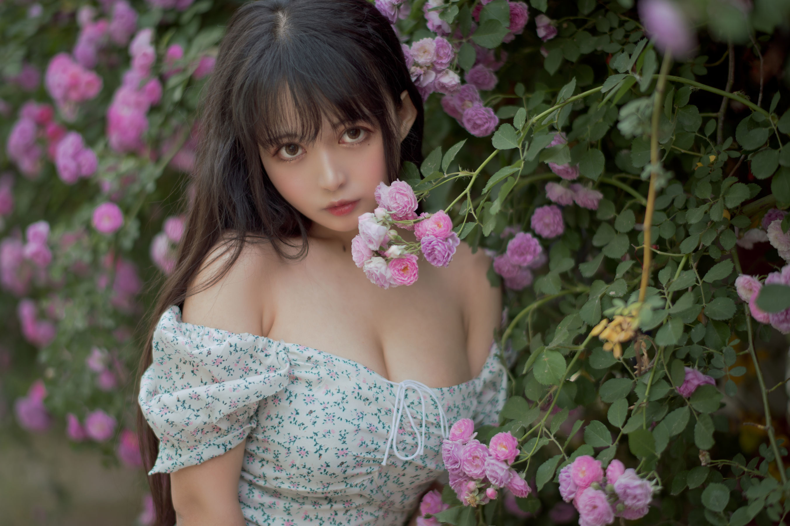 Meow Sugar Film] Vol. 338 Rozen Maiden
