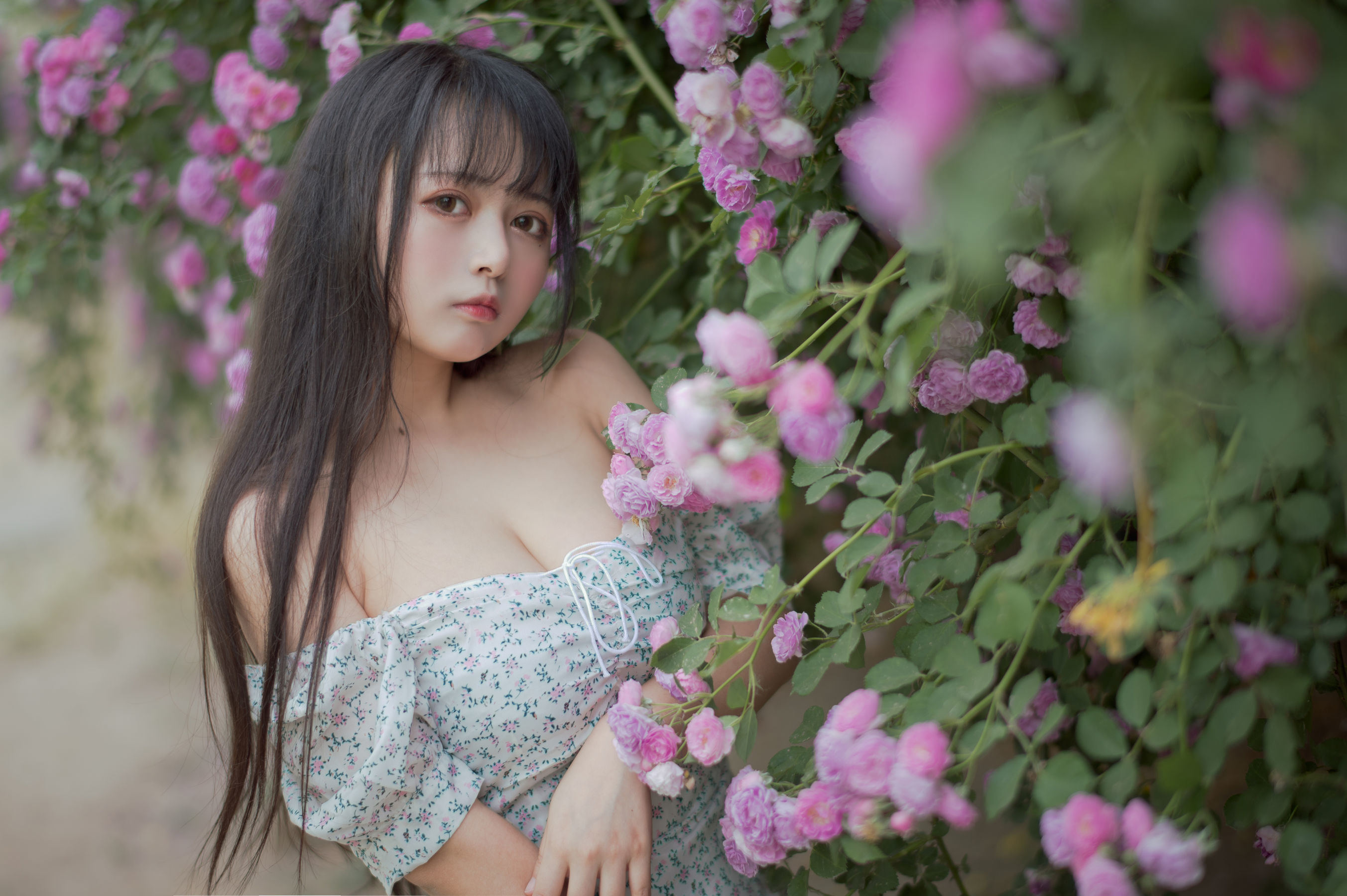Meow Sugar Film] Vol. 338 Rozen Maiden