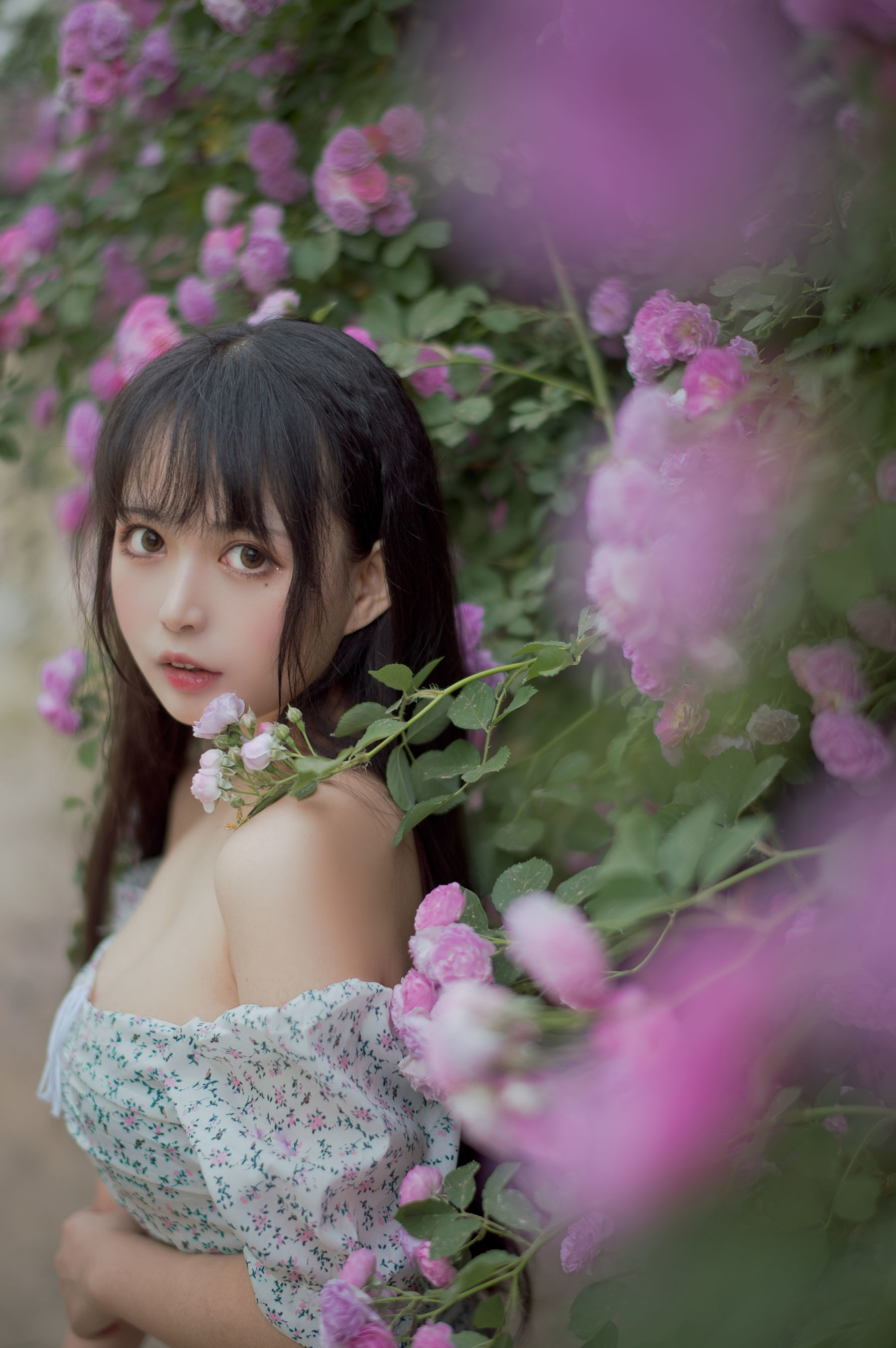 Meow Sugar Film] Vol. 338 Rozen Maiden
