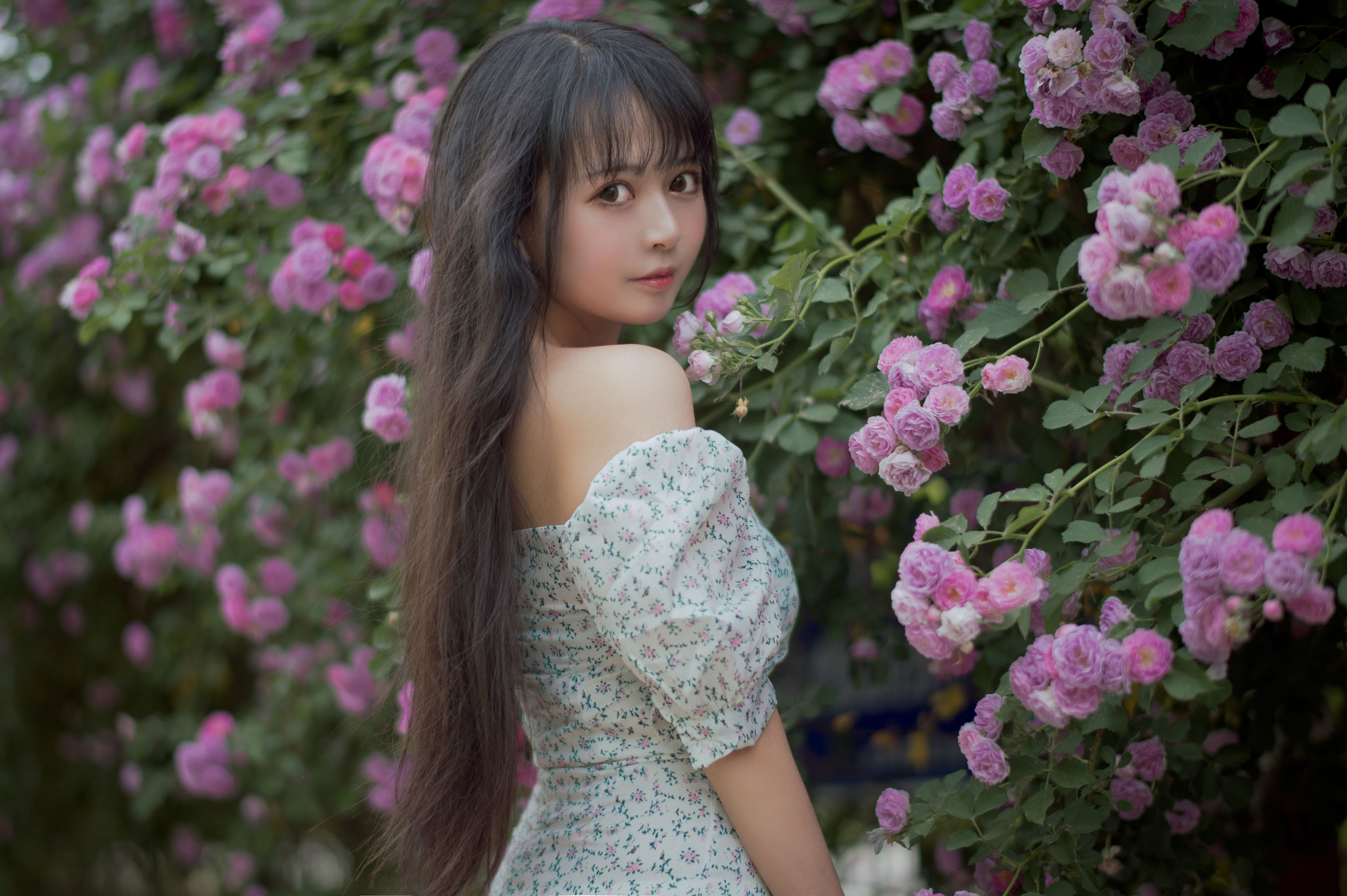 Miêu Đường Phim] Tập 338: Cô Gái Hoa Hồng