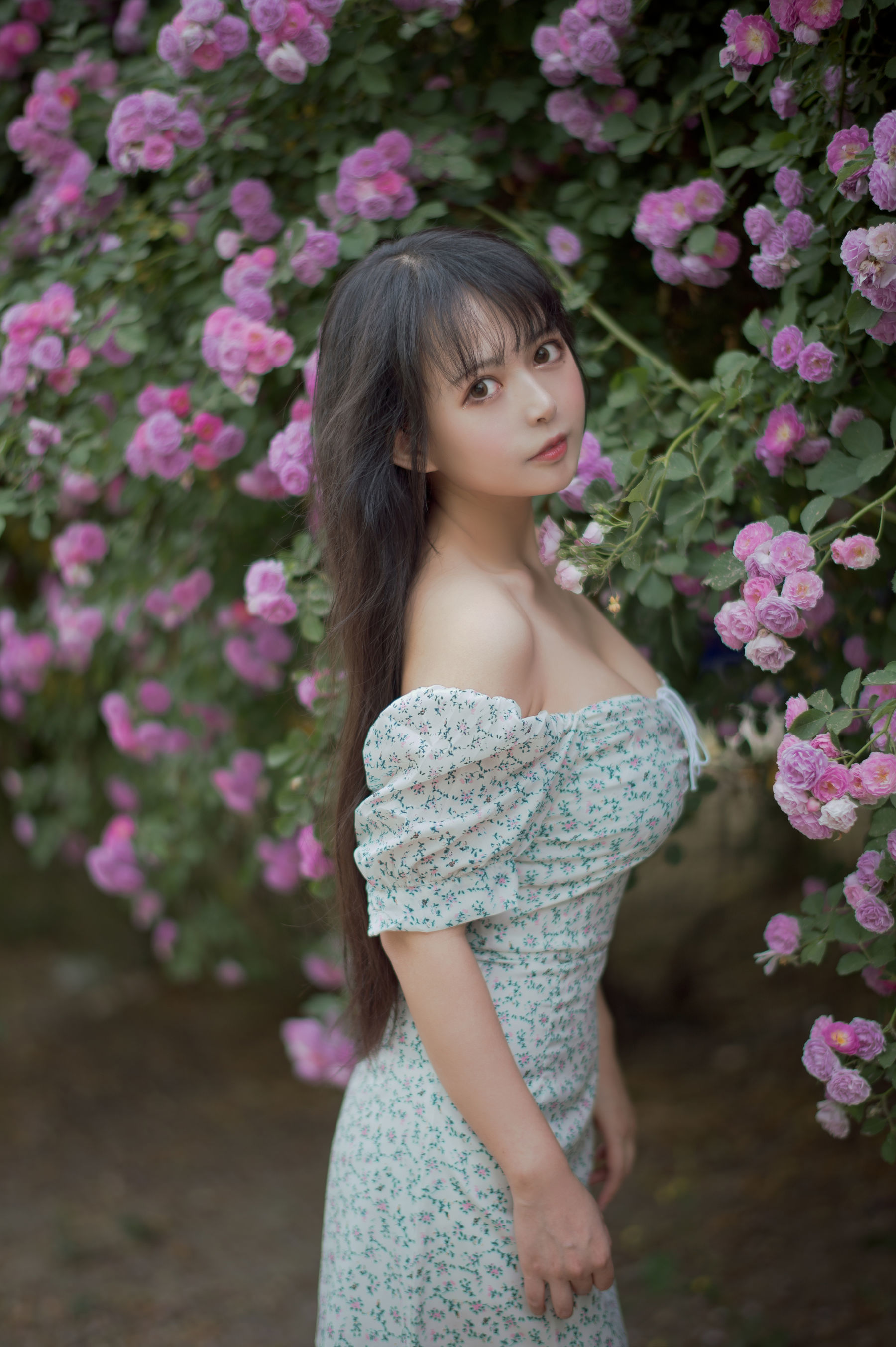 Miêu Đường Phim] Tập 338: Cô Gái Hoa Hồng