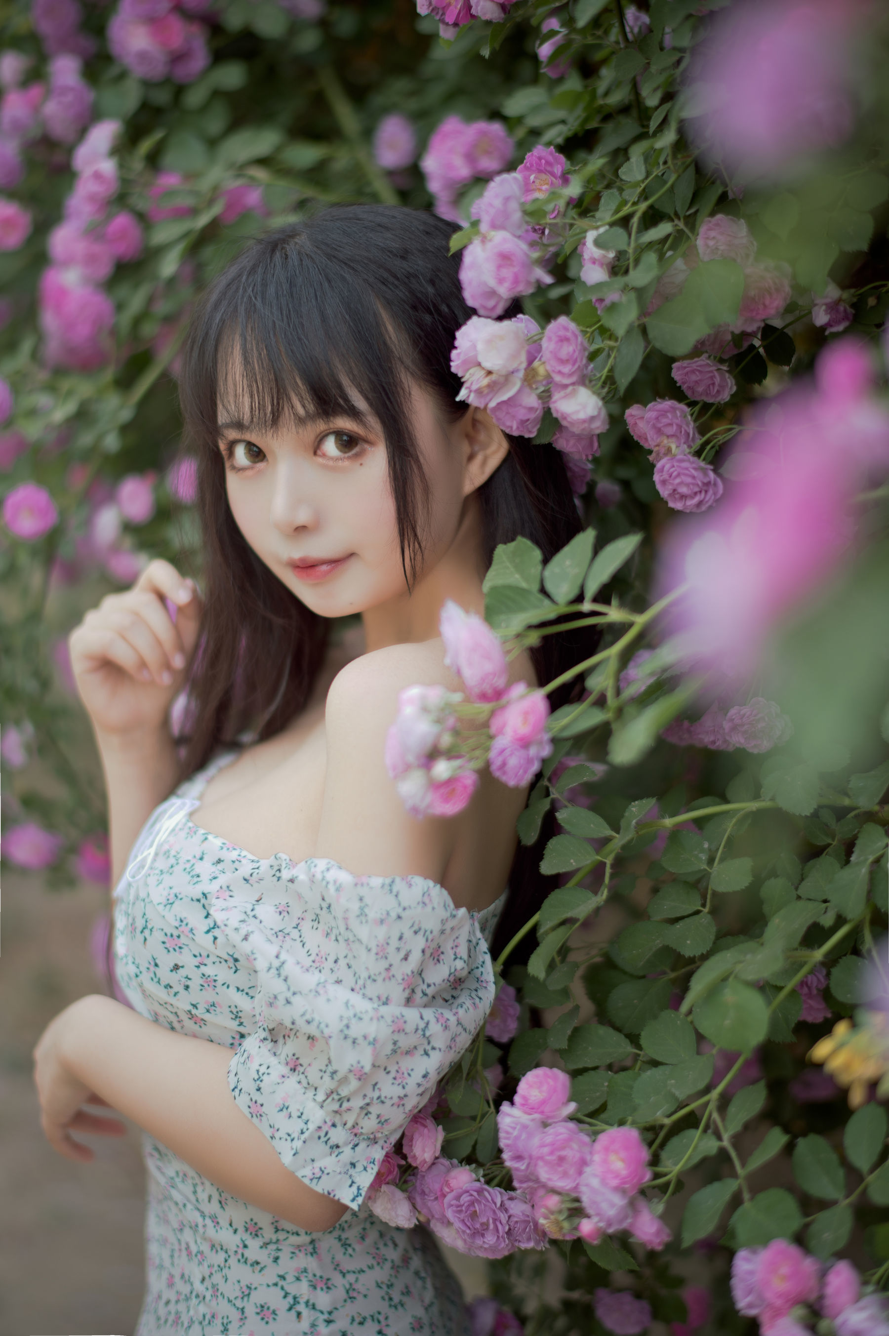 Miêu Đường Phim] Tập 338: Cô Gái Hoa Hồng