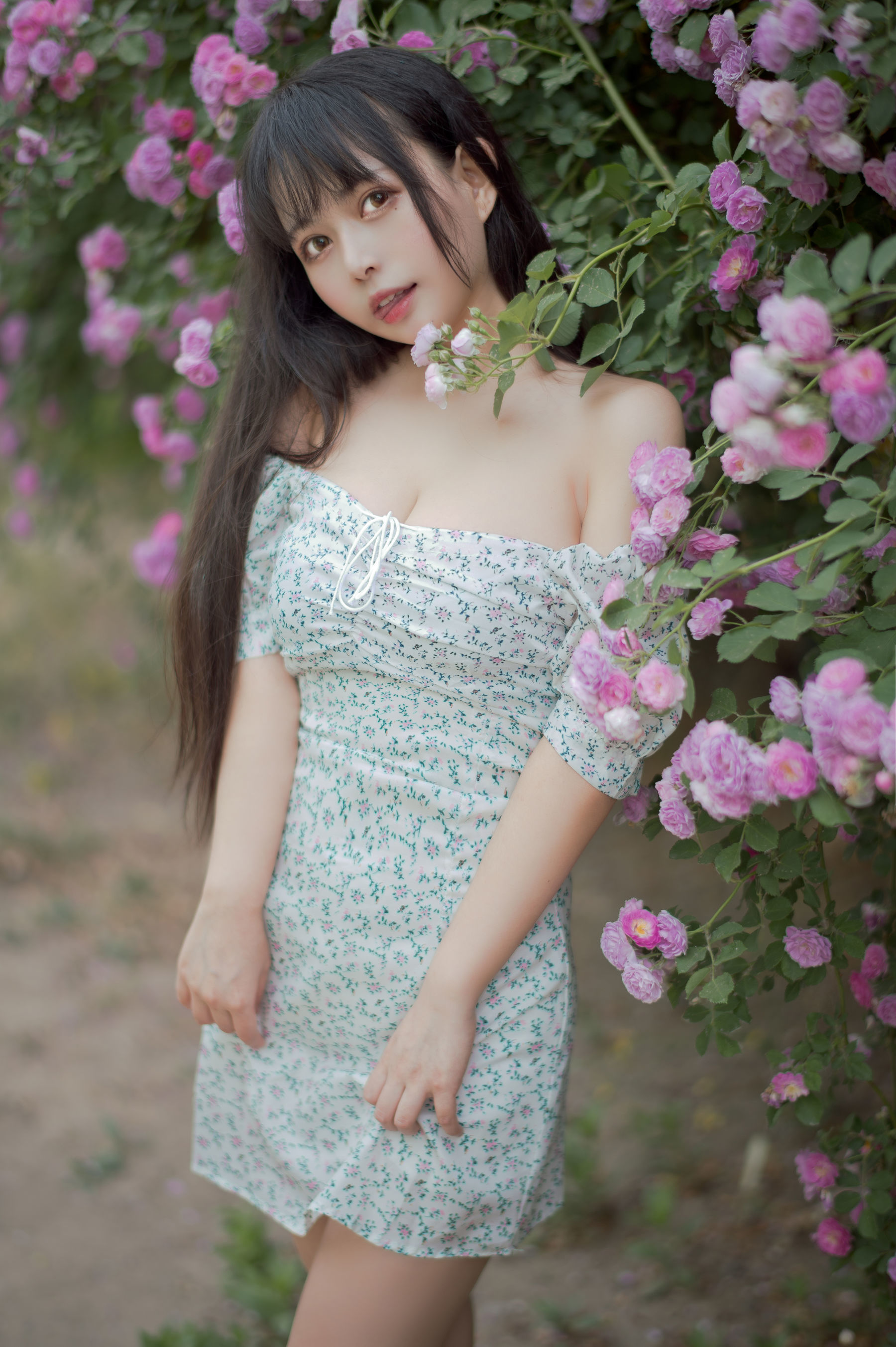 Miêu Đường Phim] Tập 338: Cô Gái Hoa Hồng