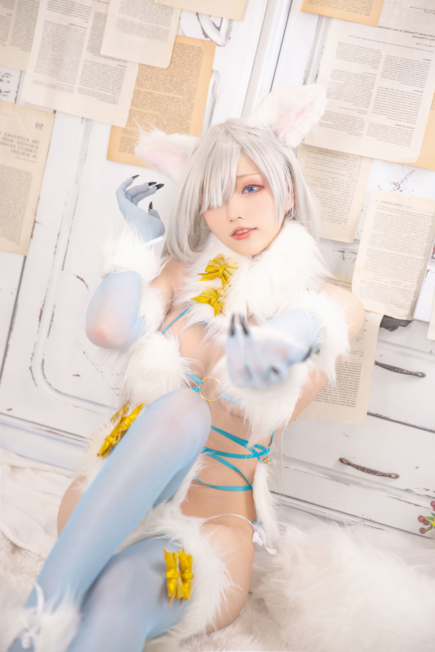 COS Welfare] Cheese Block Wii - Imperial Princess Dangerous Beast