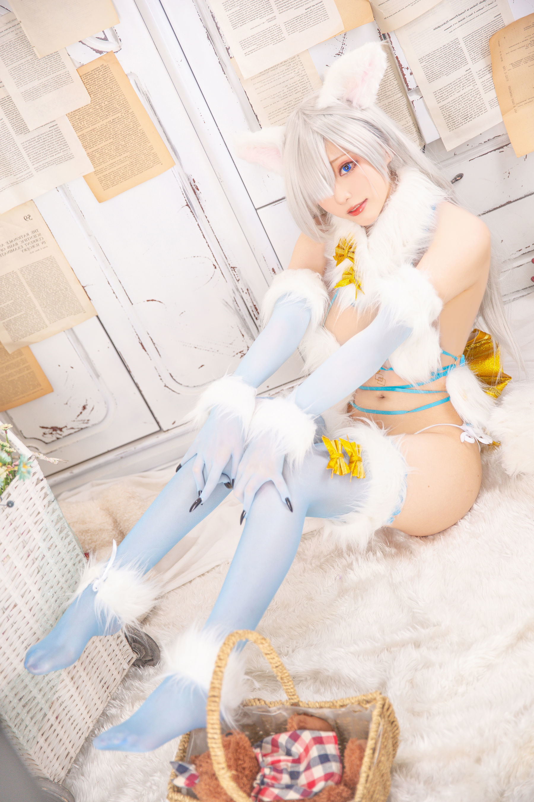 COS Welfare] Cheese Block Wii - Imperial Princess Dangerous Beast