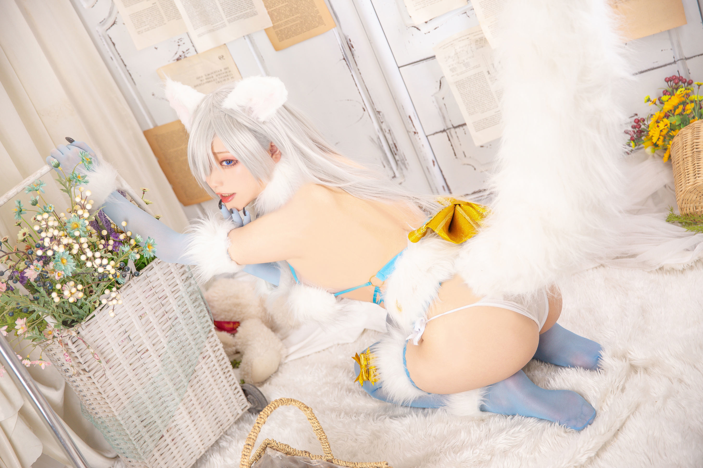 COS Welfare] Cheese Block Wii - Imperial Princess Dangerous Beast