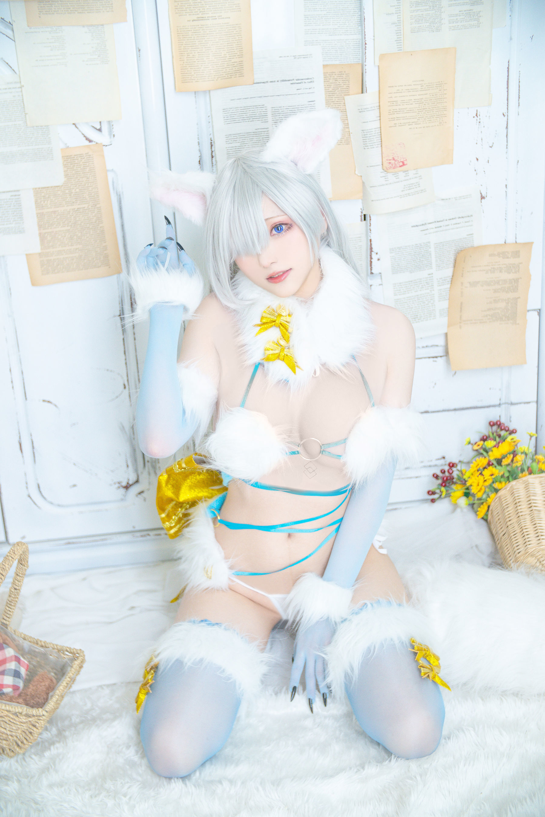 COS Welfare] Cheese Block Wii - Imperial Princess Dangerous Beast