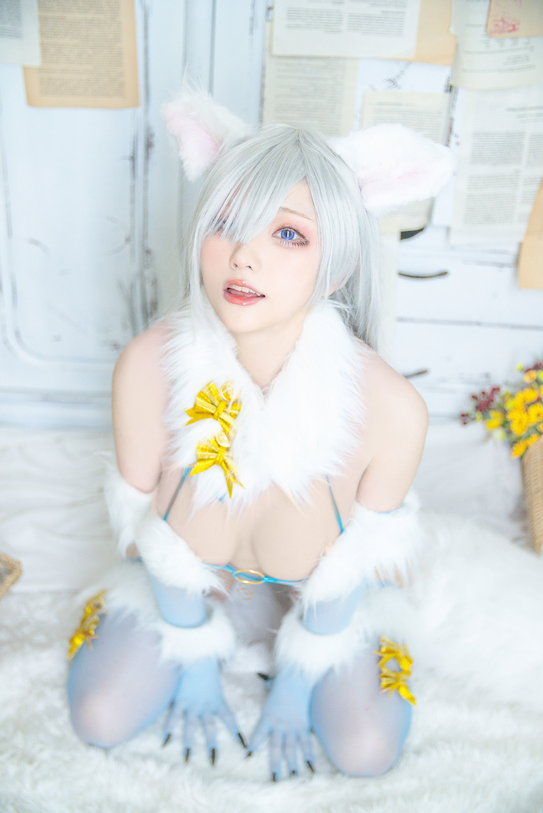 COS Welfare] Cheese Block Wii - Imperial Princess Dangerous Beast