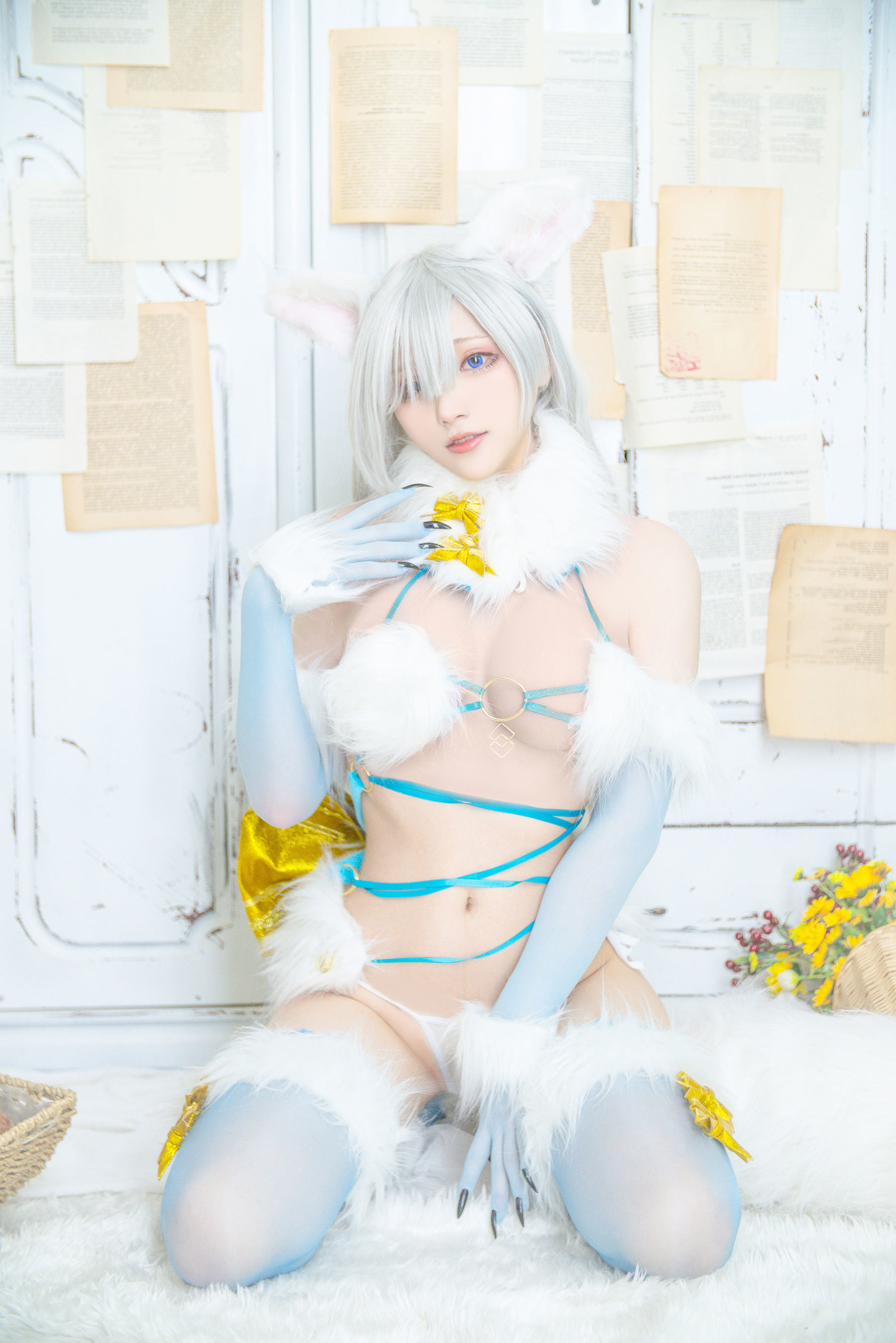 COS Welfare] Cheese Block Wii - Imperial Princess Dangerous Beast