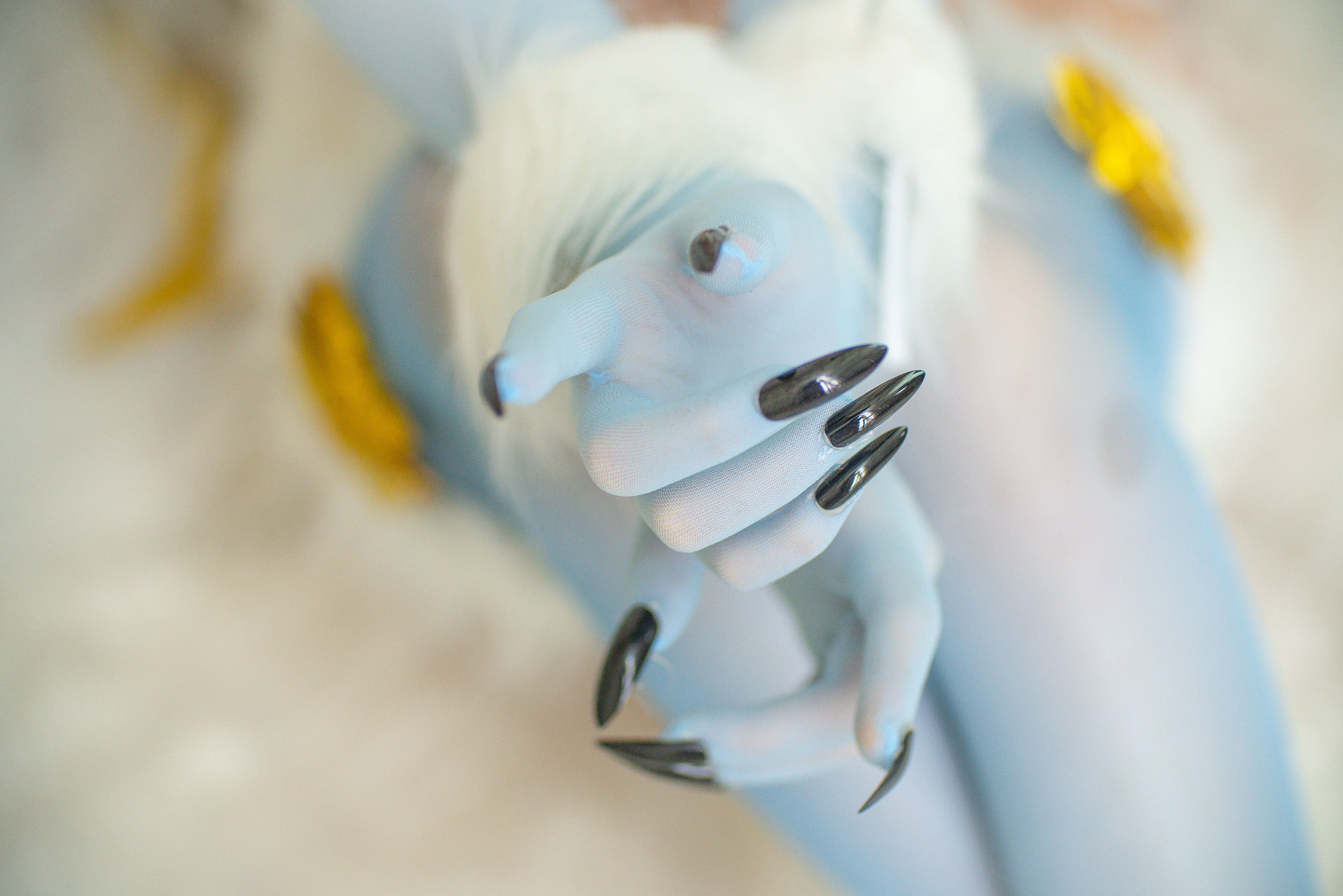 COS Welfare] Cheese Block Wii - Imperial Princess Dangerous Beast
