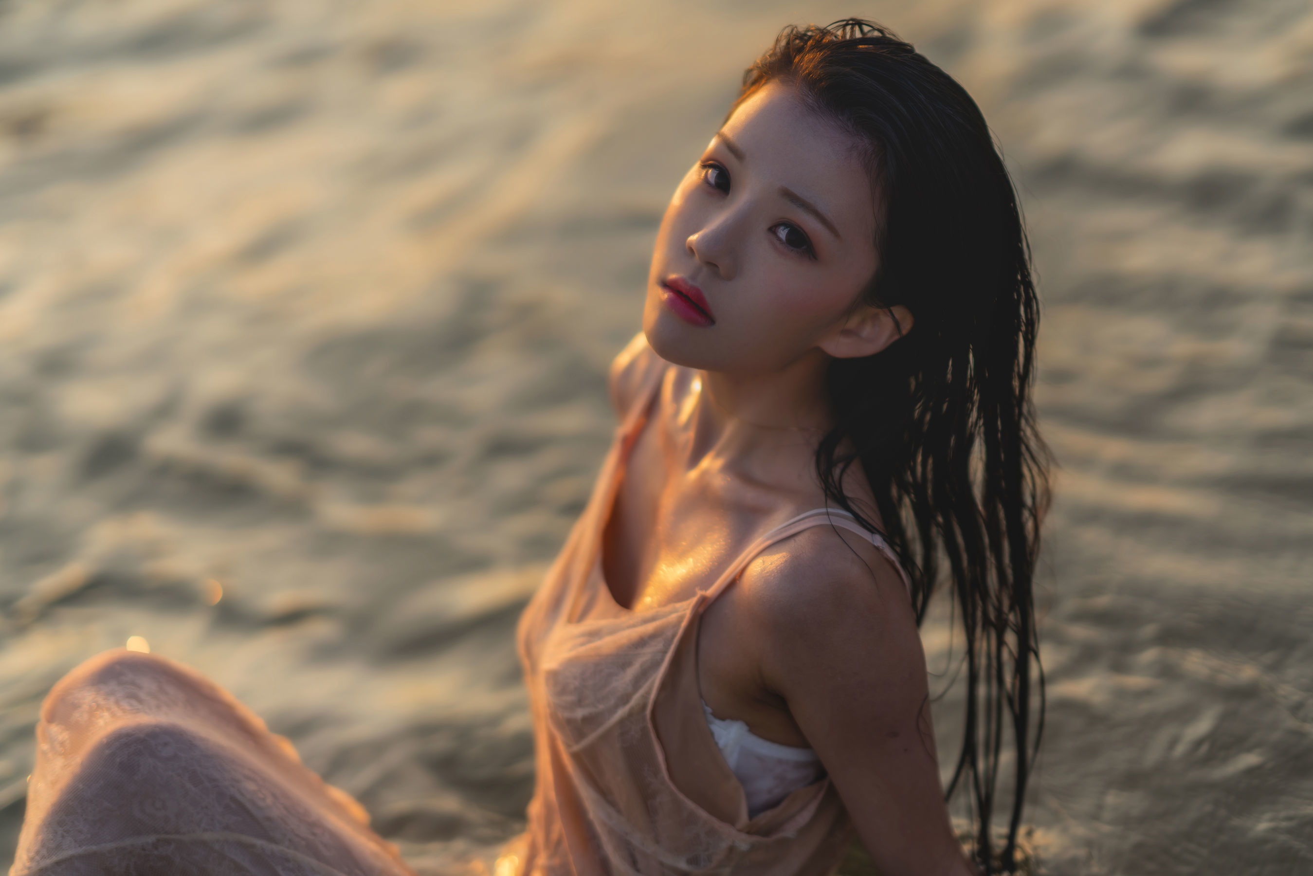 COS Phúc lợi] Sakura Đào Meo - Triều tịch