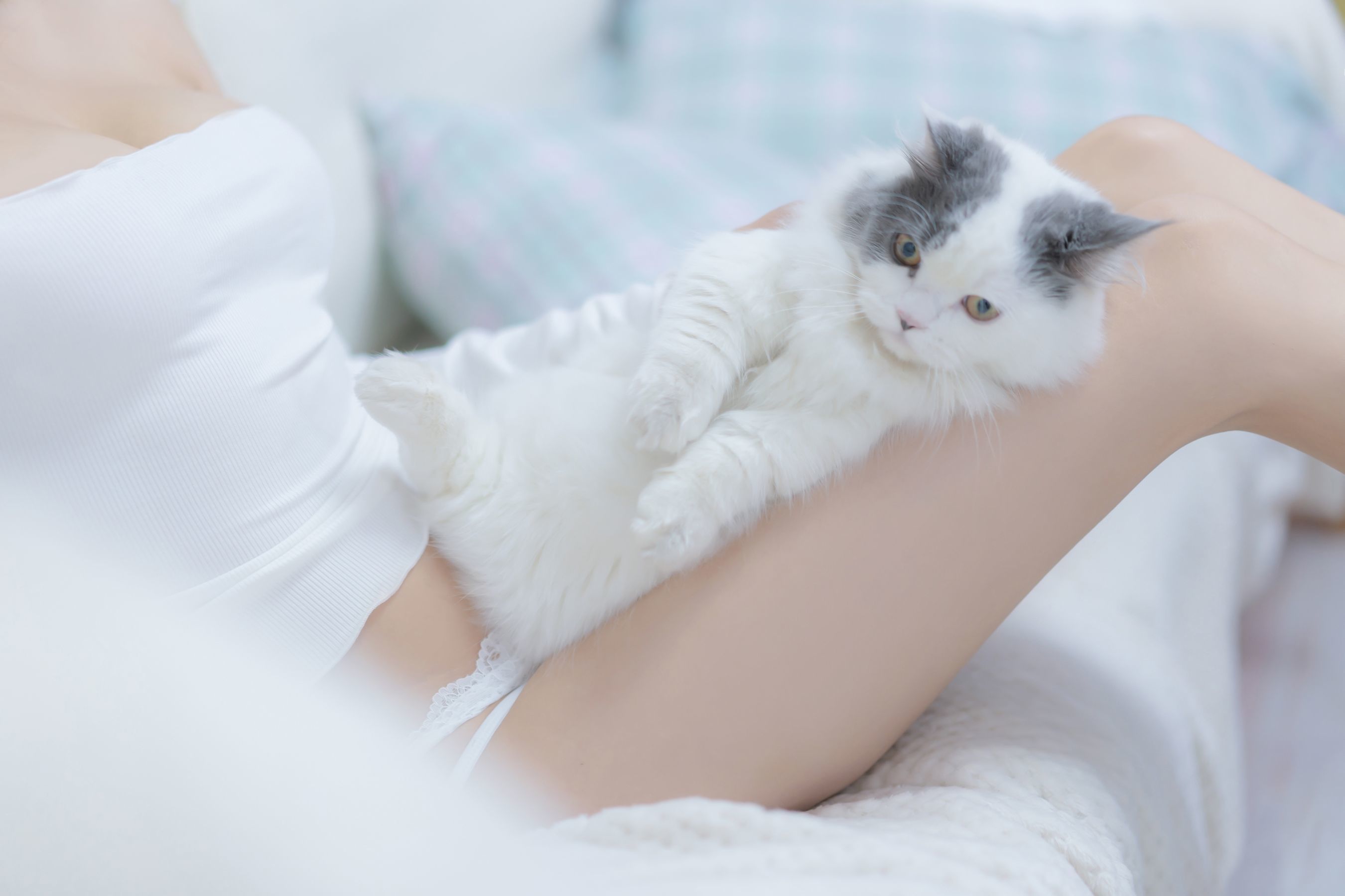 COS Phúc Lợi] Douyu Mi Xian Xian Sama - Tôi và Mèo