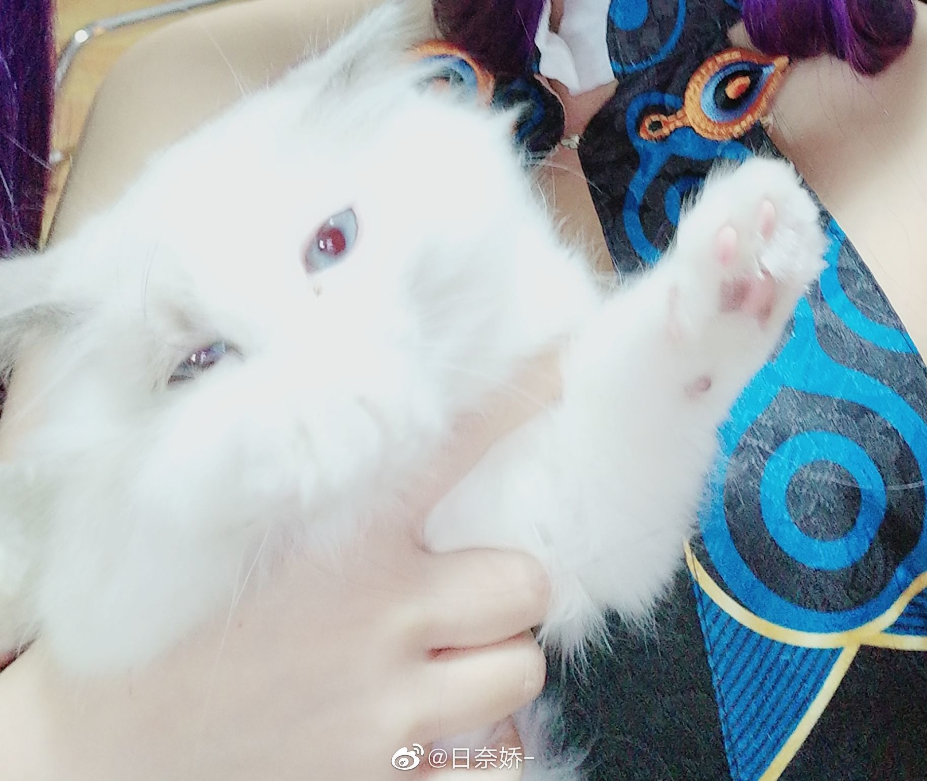 COS Welfare] Rina Jiao - Yang Guifei