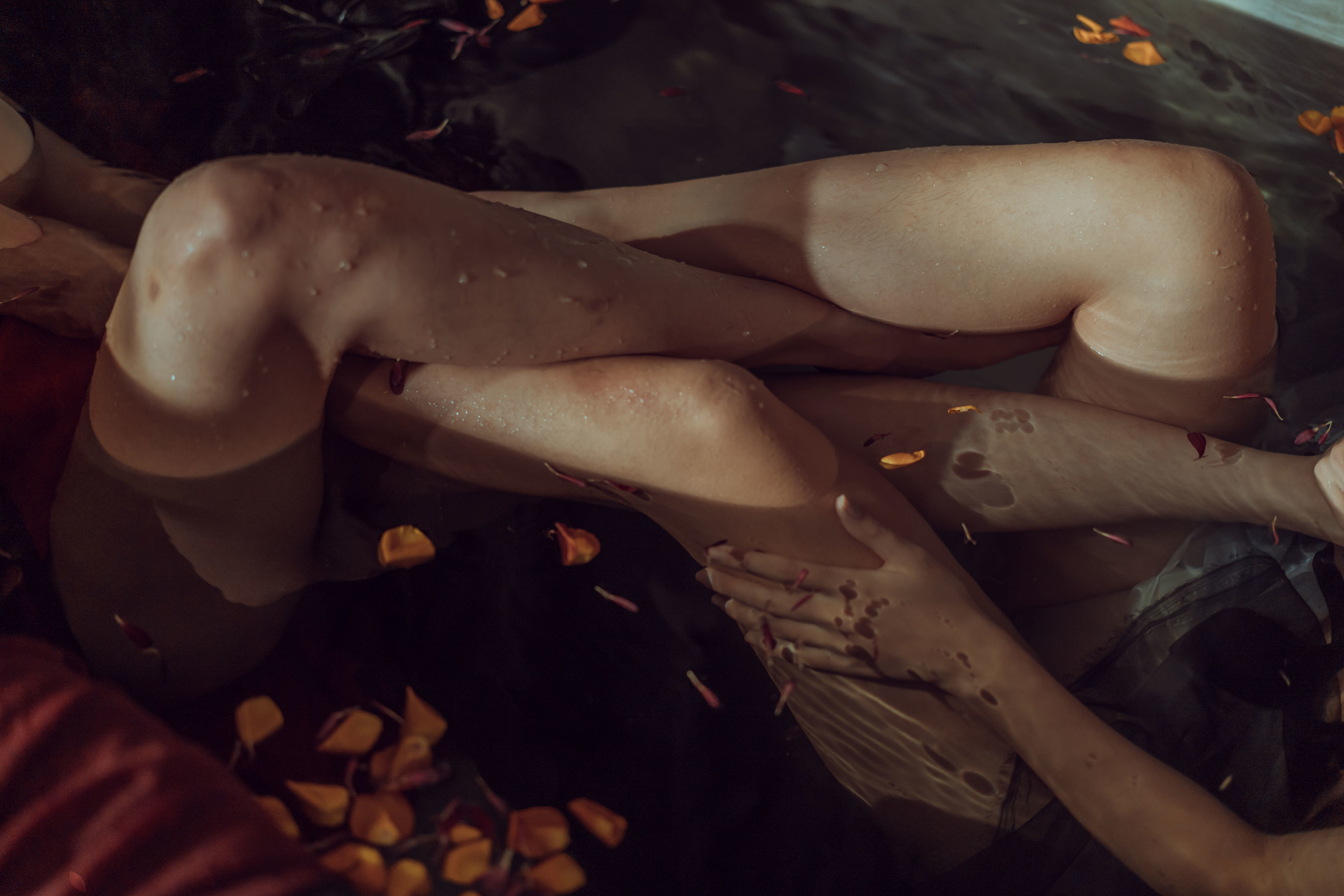 COS Welfare] Autumn and Corgi (Xia Xiao Qiu Qiu Qiu) - Hun Hong Zhang