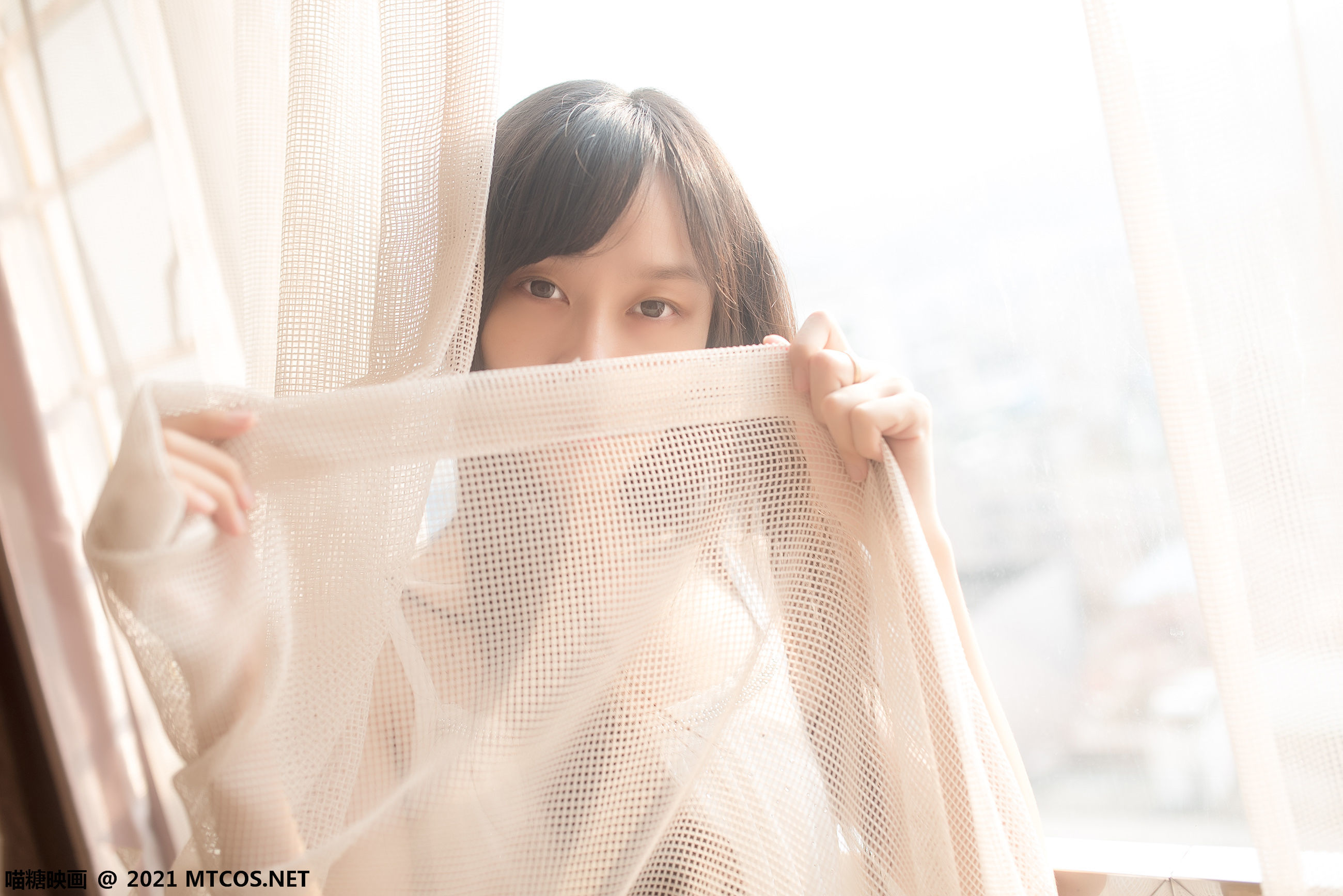 Meow Sugar Film] VOL.425 Warm Sun by the Window