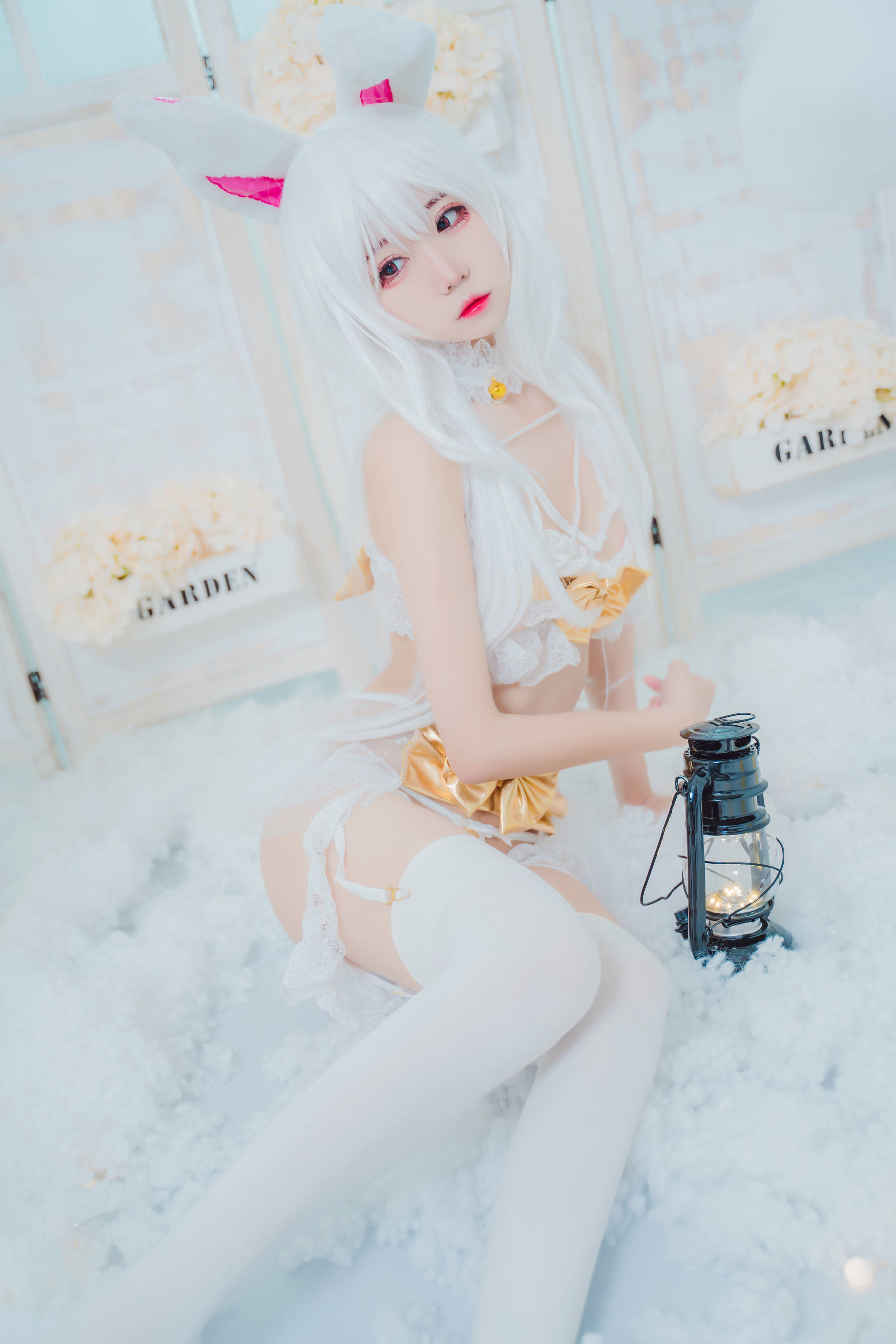 COS Phúc lợi] MaoJun - Thỏ Bí mật
