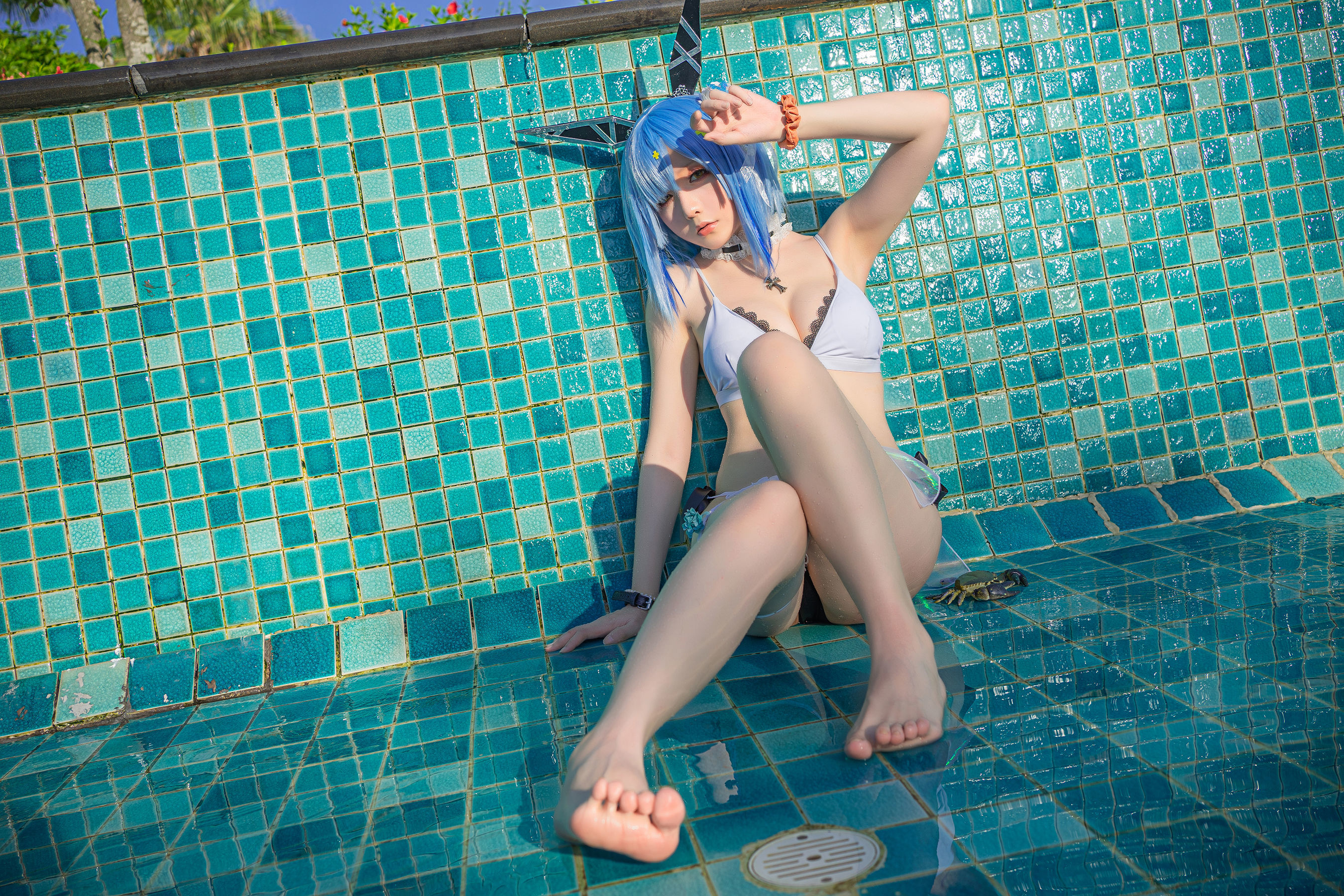 Cosplay Welfare] Coser Miss Xing Zhi Chi Chi - Ming Xia Gascogne