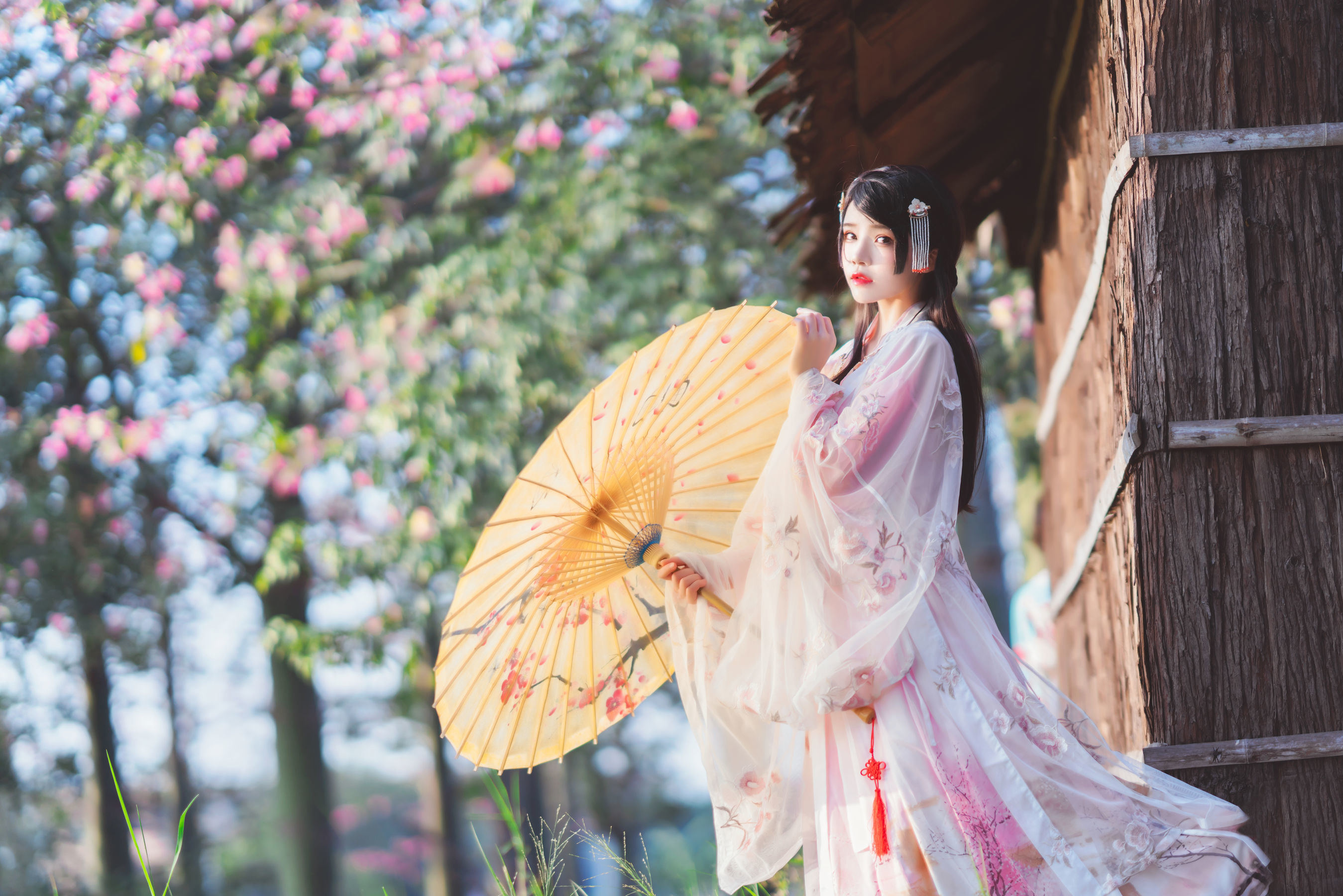 コスプレ福利] 桜桃喵 - 優しい漢服の桃花