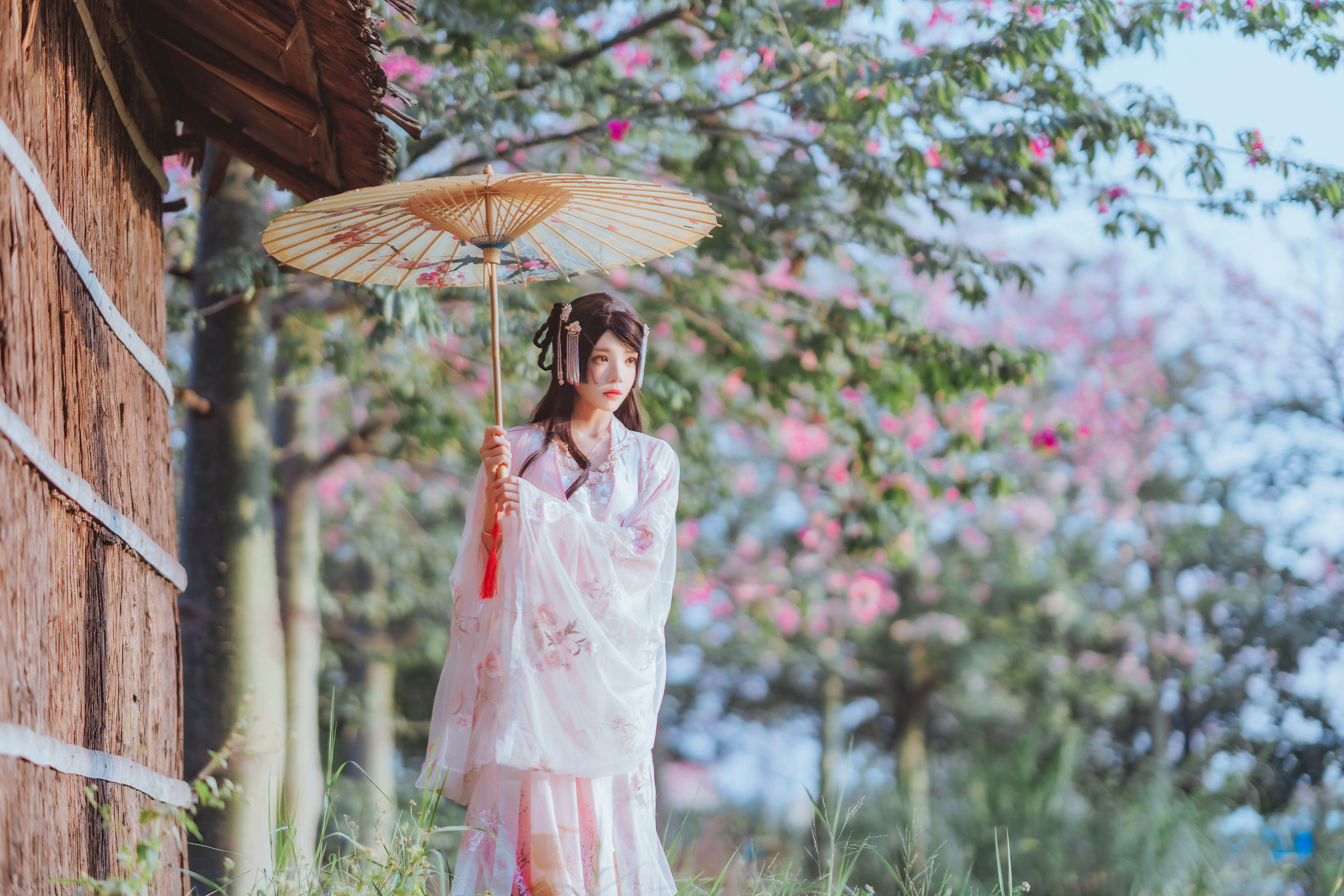 Cosplay Welfare] Sakura Tao Miao - Gentle Hanfu Peach Blossom