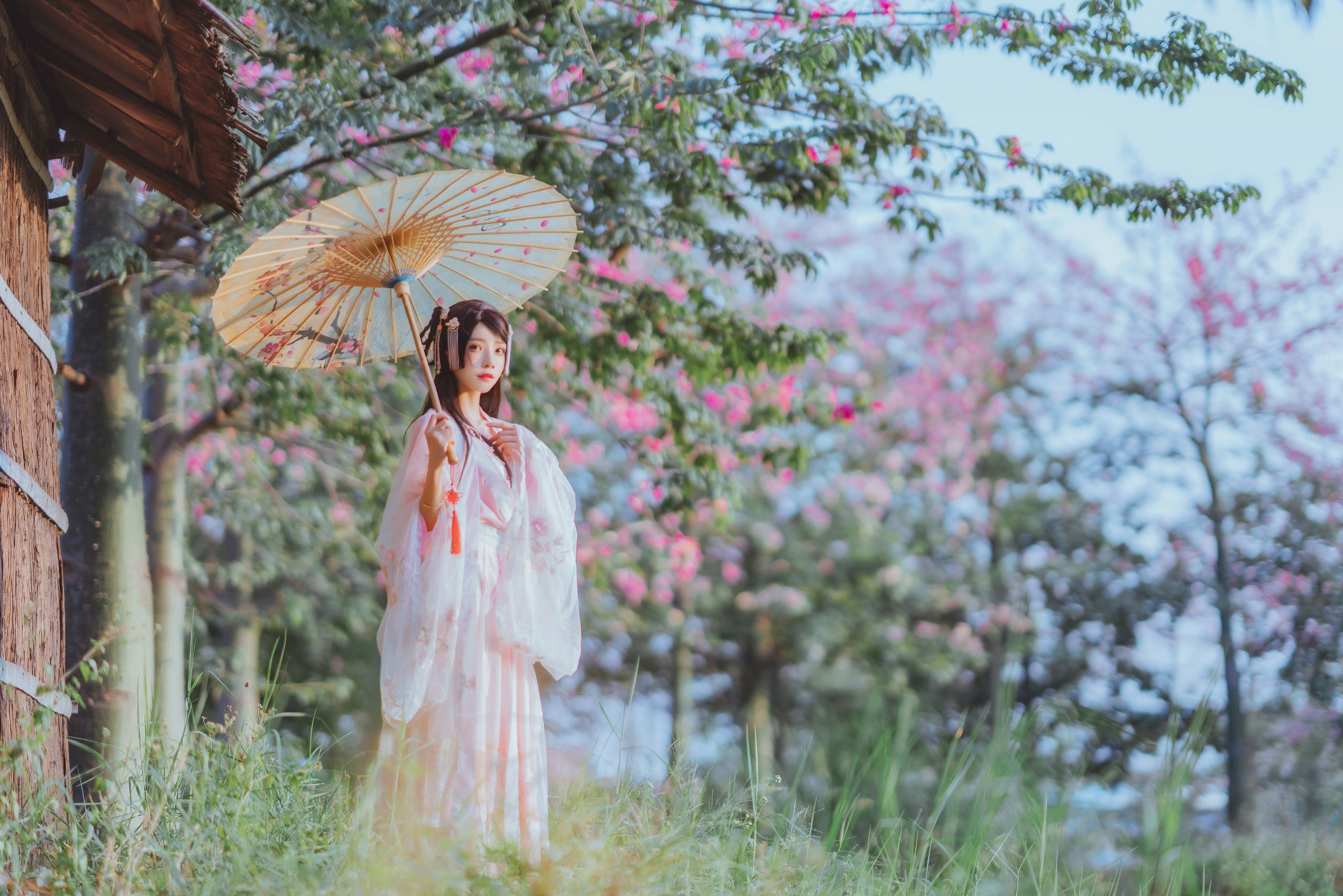 Cosplay Welfare] Sakura Tao Miao - Gentle Hanfu Peach Blossom