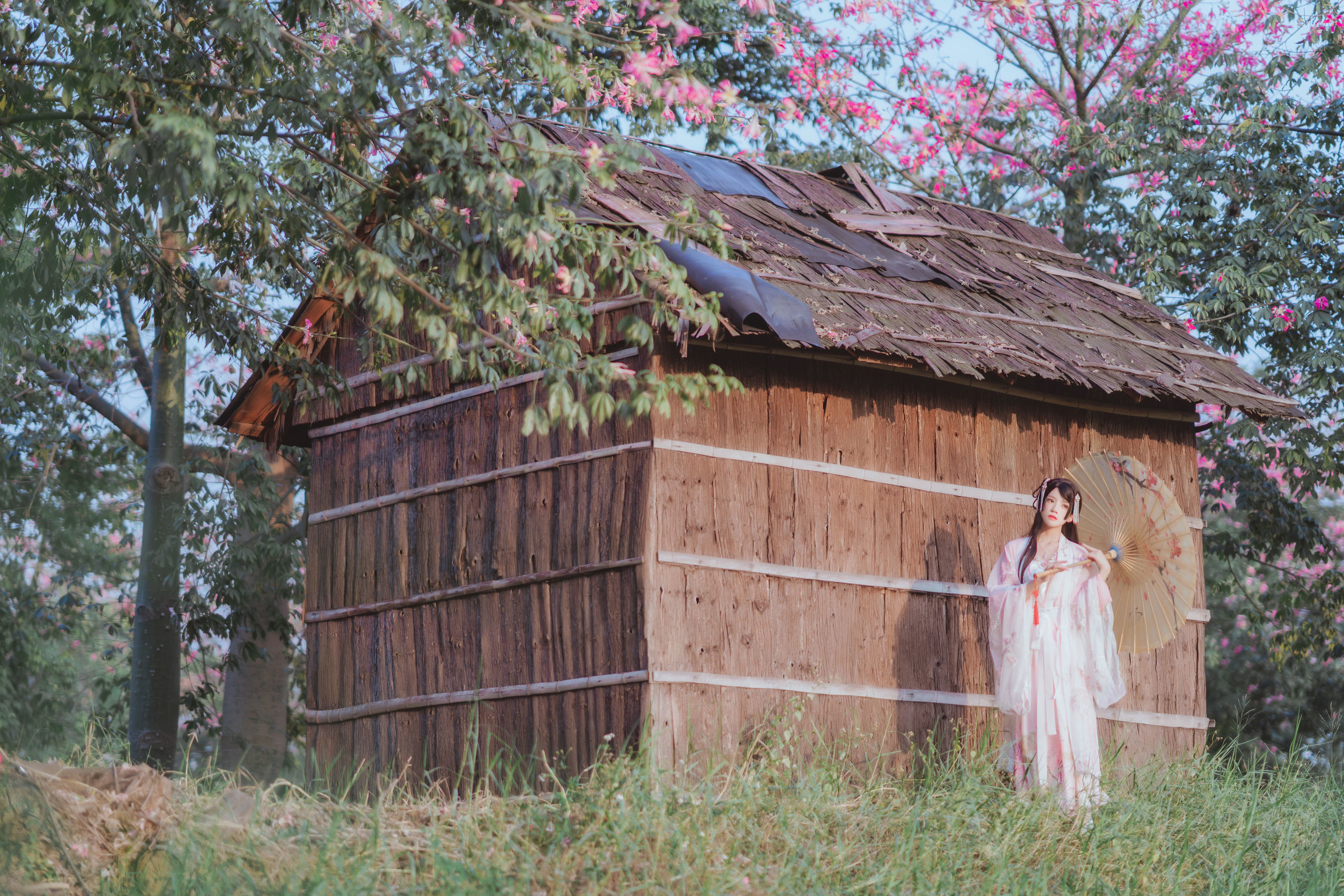 Cosplay Welfare] Sakura Tao Miao - Gentle Hanfu Peach Blossom
