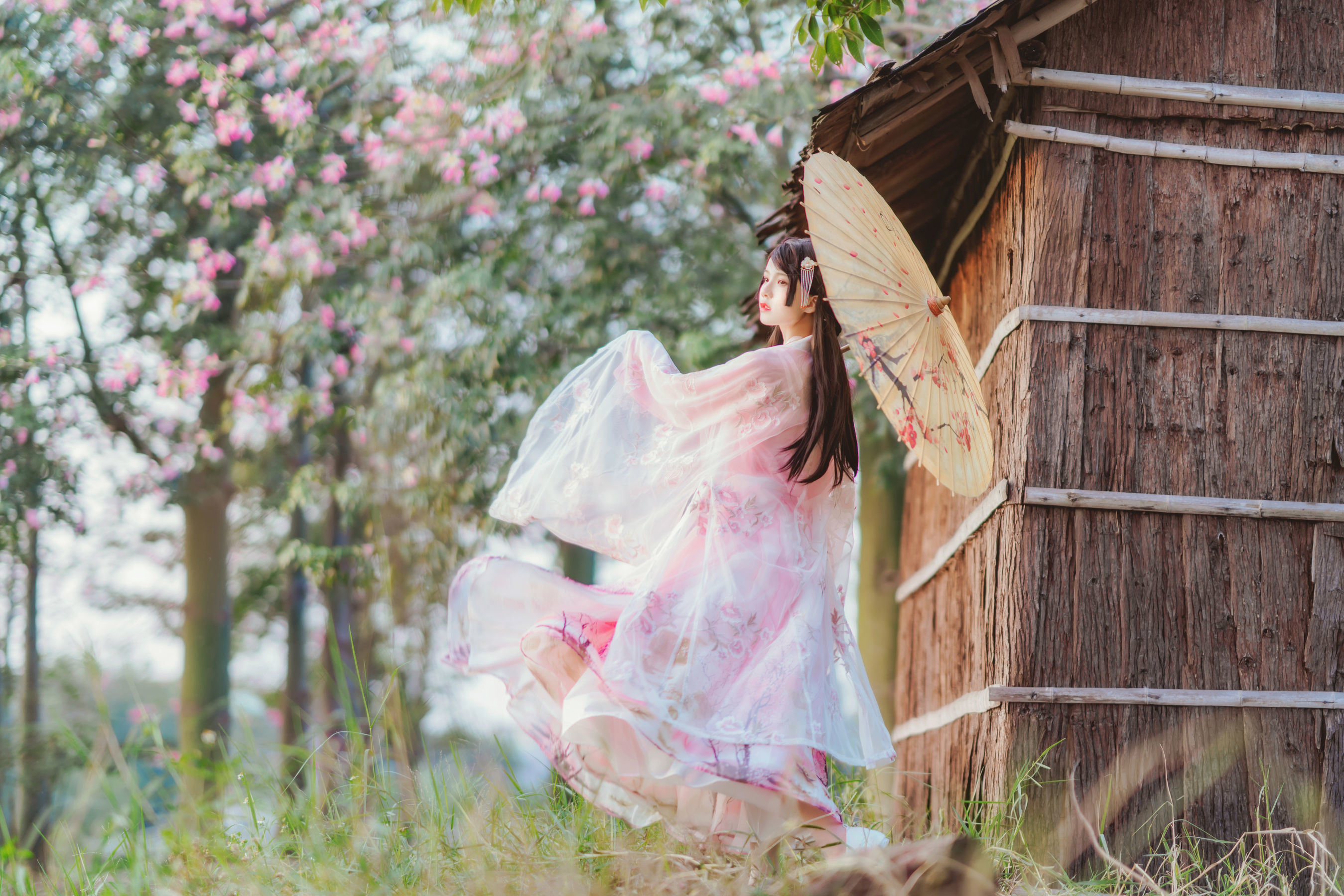 Cosplay Welfare] Sakura Tao Miao - Gentle Hanfu Peach Blossom