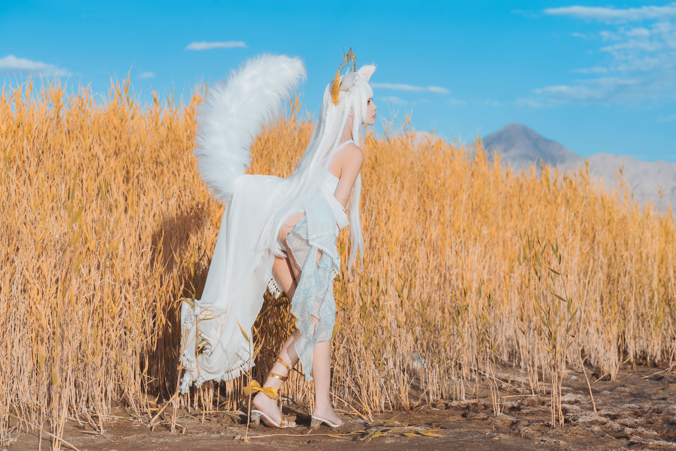Internet Celebrity COSER Photobook] Sakurato Meow - Arknights Platinum