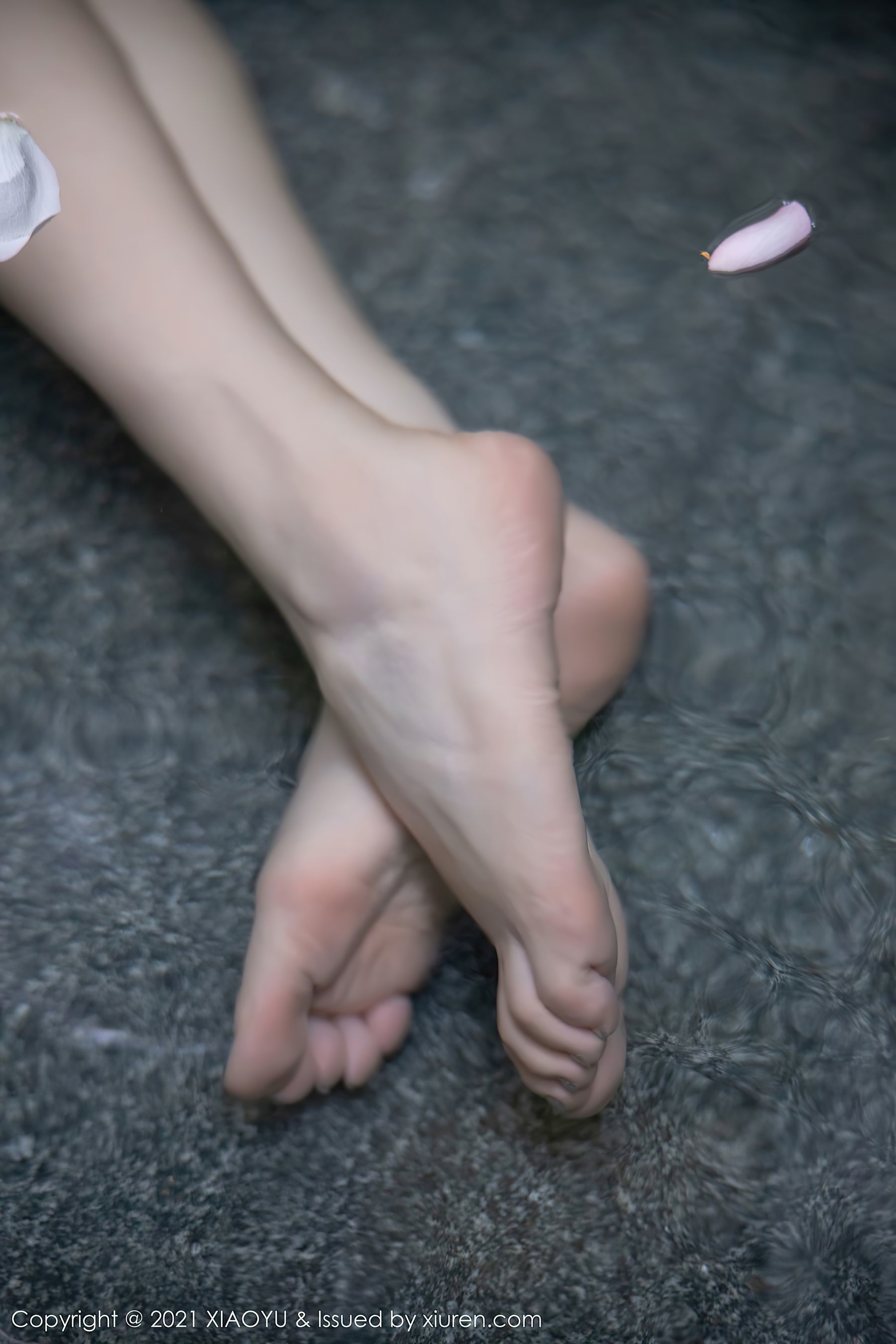 Ngữ Họa Giới XIAOYU] Tập 528 Dương Thần Thần Yome