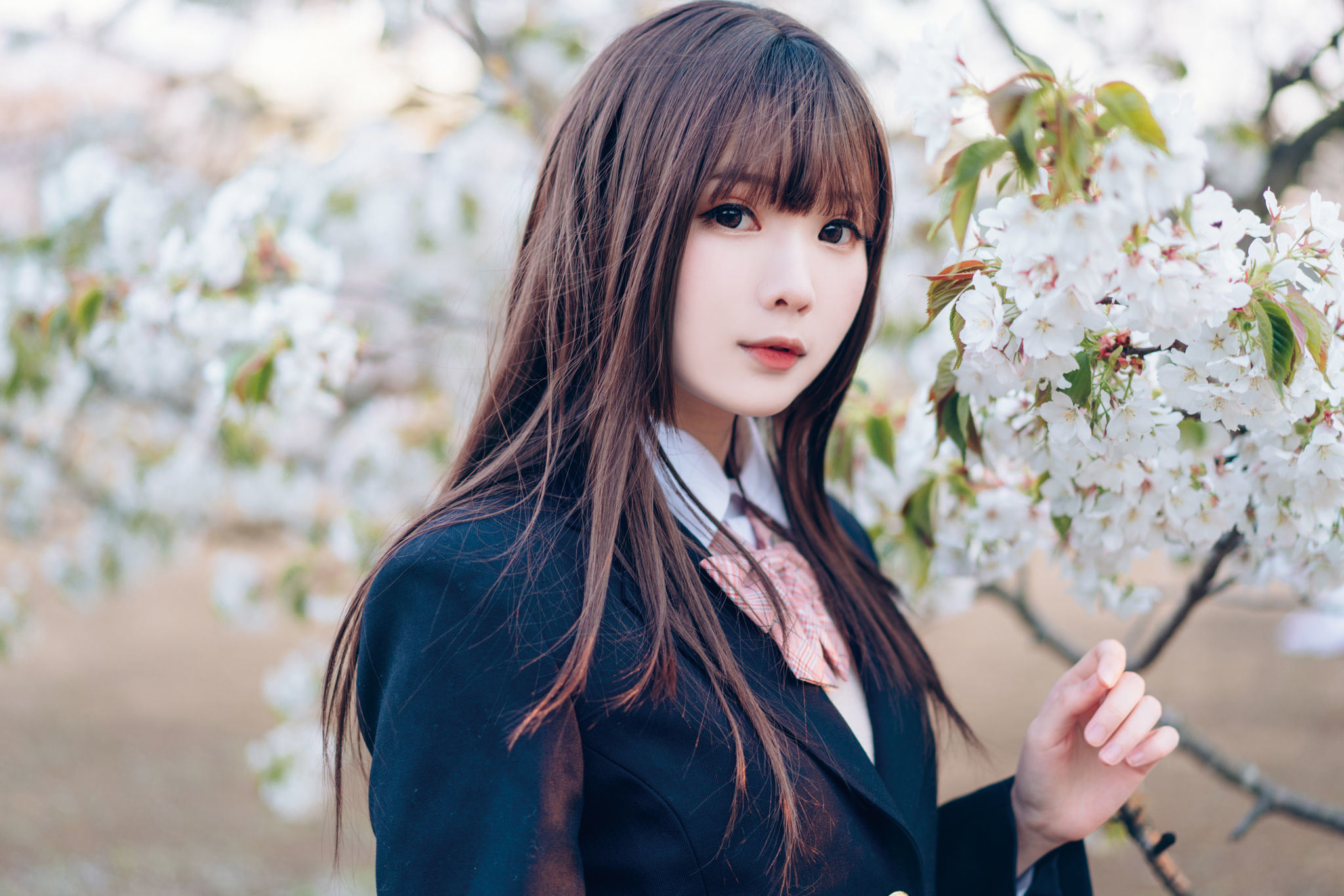 ネット紅人コスプレイヤー写真] ウェイボー妹子霜月shimo - SPRING