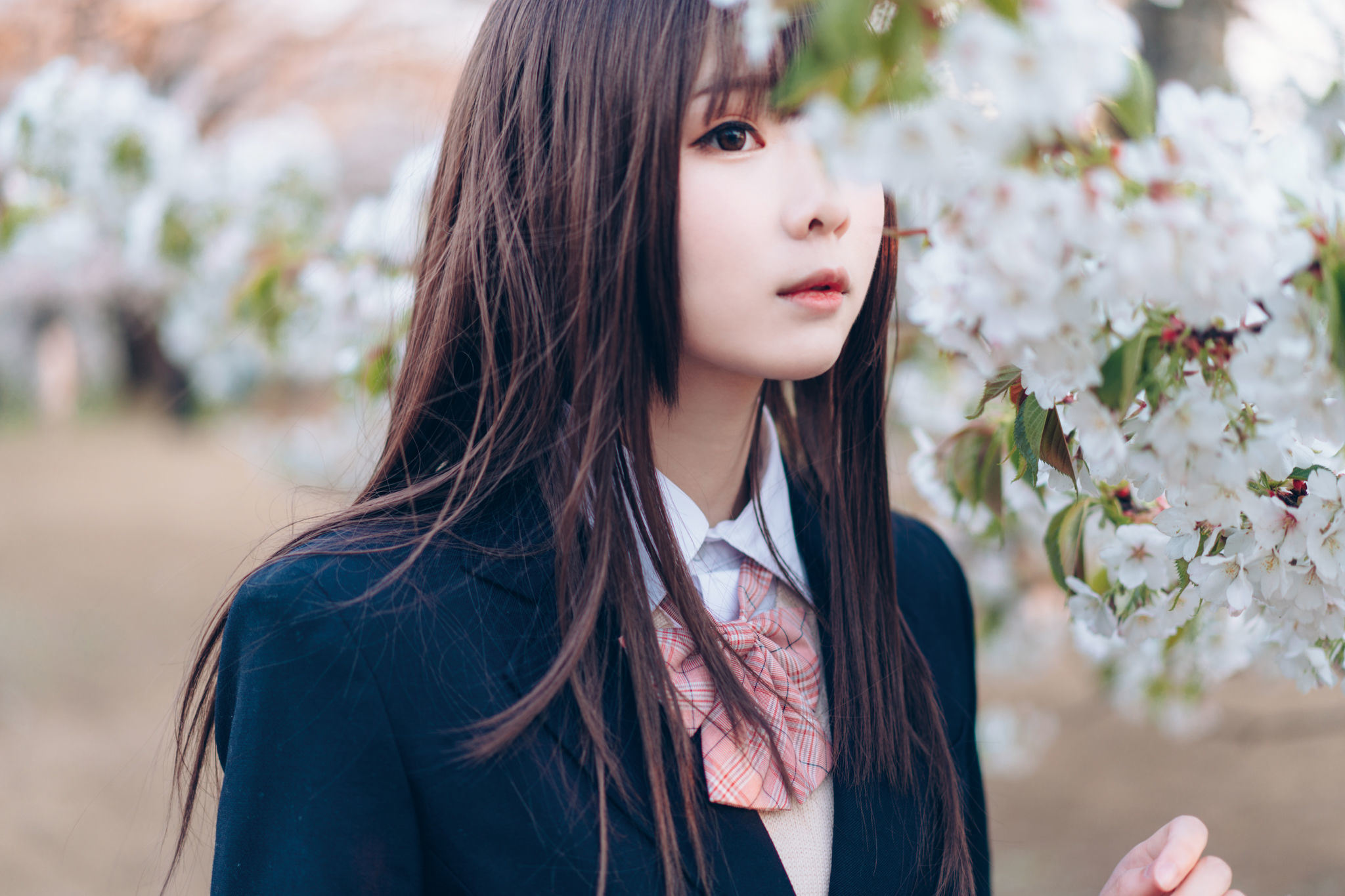 ネット紅人コスプレイヤー写真] ウェイボー妹子霜月shimo - SPRING