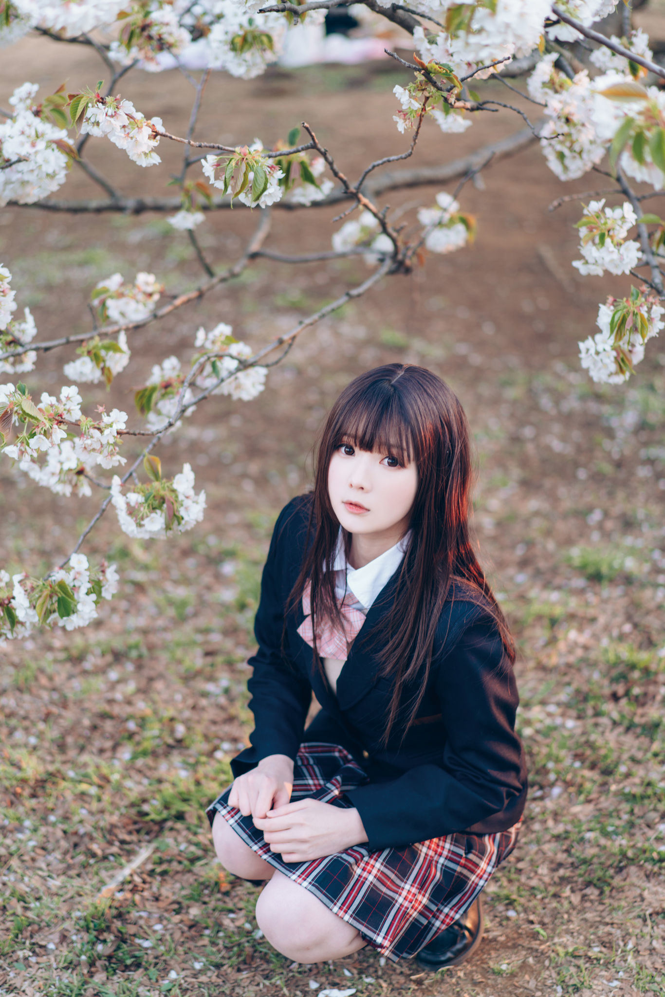 ネット紅人コスプレイヤー写真] ウェイボー妹子霜月shimo - SPRING