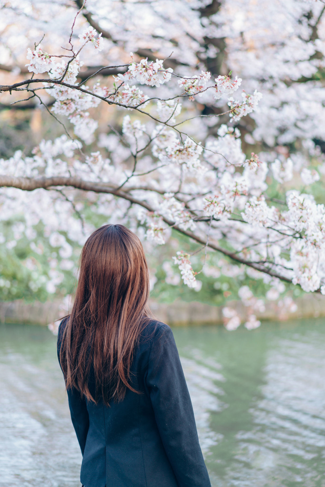 ネット紅人コスプレイヤー写真] ウェイボー妹子霜月shimo - SPRING