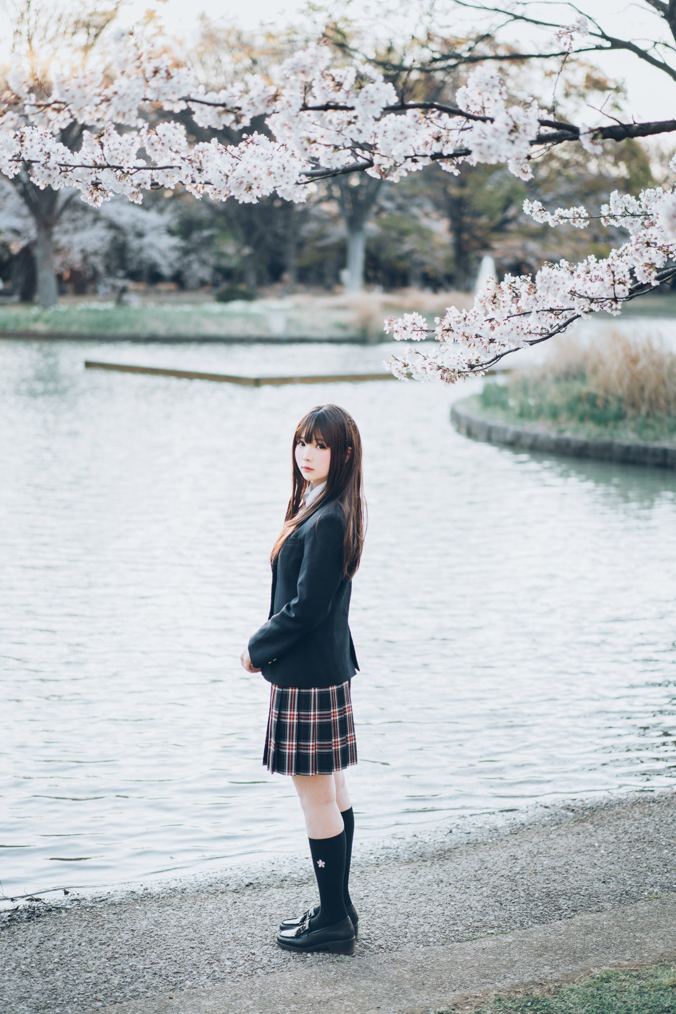 ネット紅人コスプレイヤー写真] ウェイボー妹子霜月shimo - SPRING