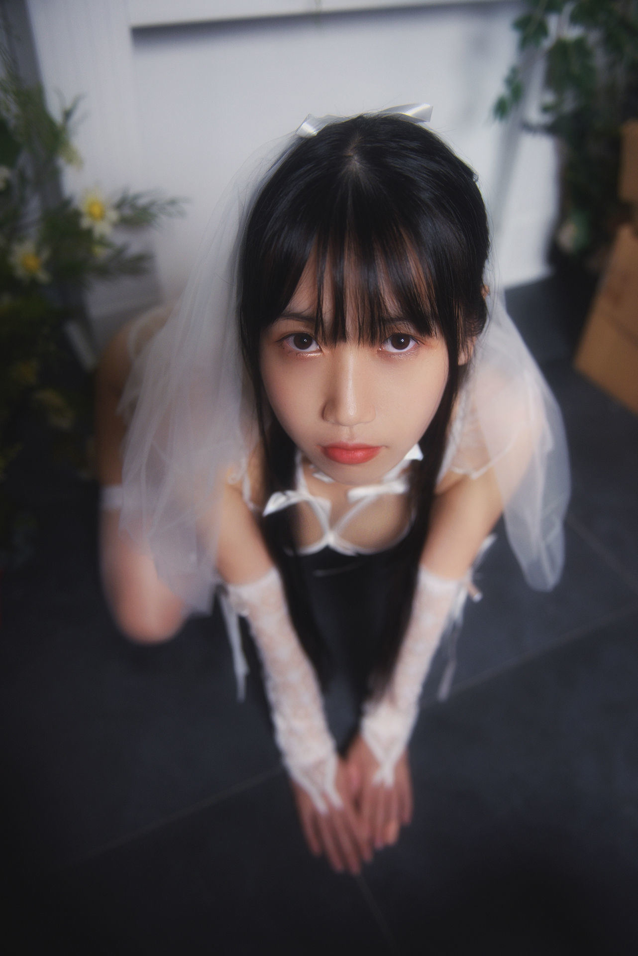 [Vol Red COSER viết thật] Người Weibo không hề ngu ngốc với mèo, áo cưới màu trắng.