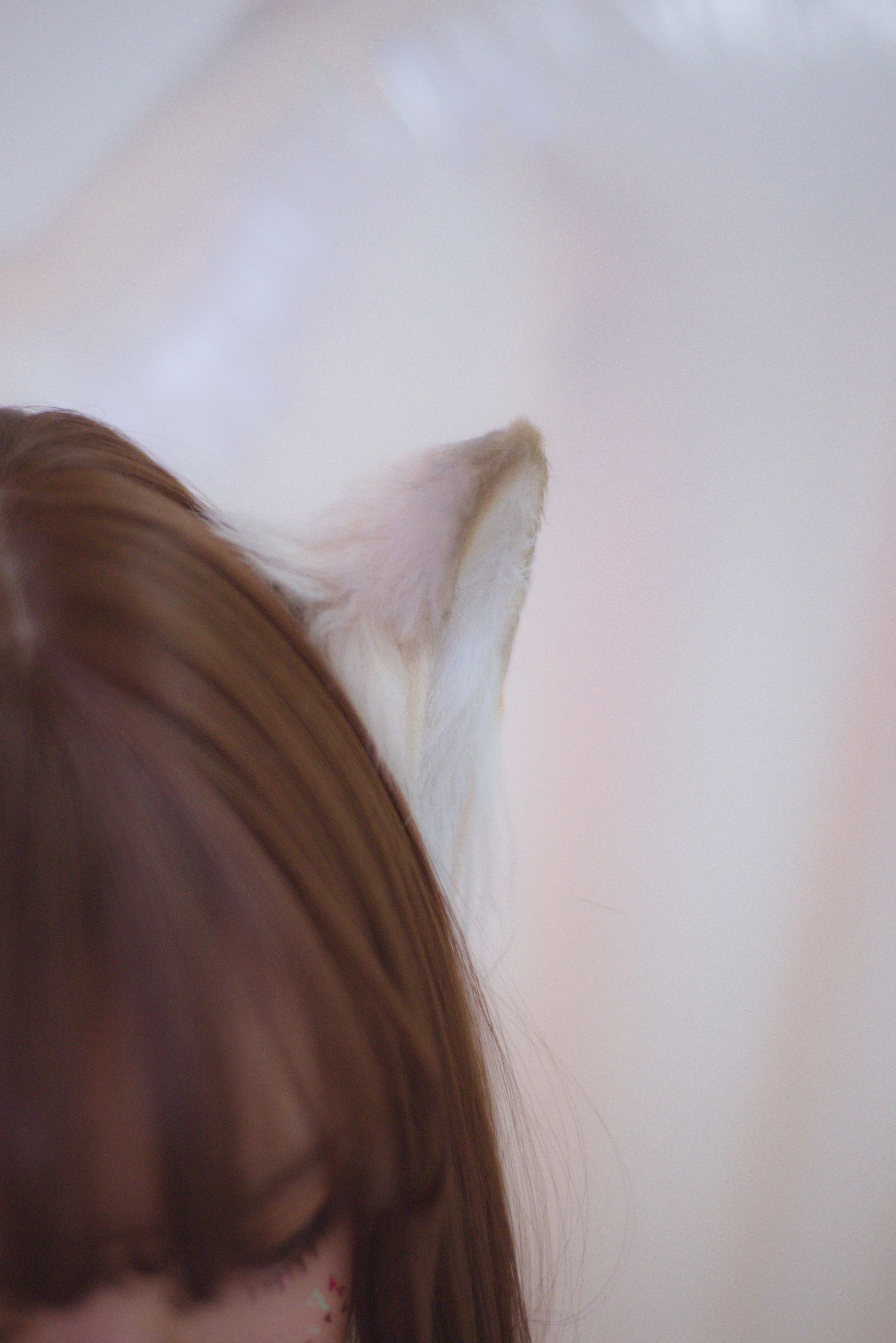 福利COS] 佳奈喵 - 雪夜錦禮