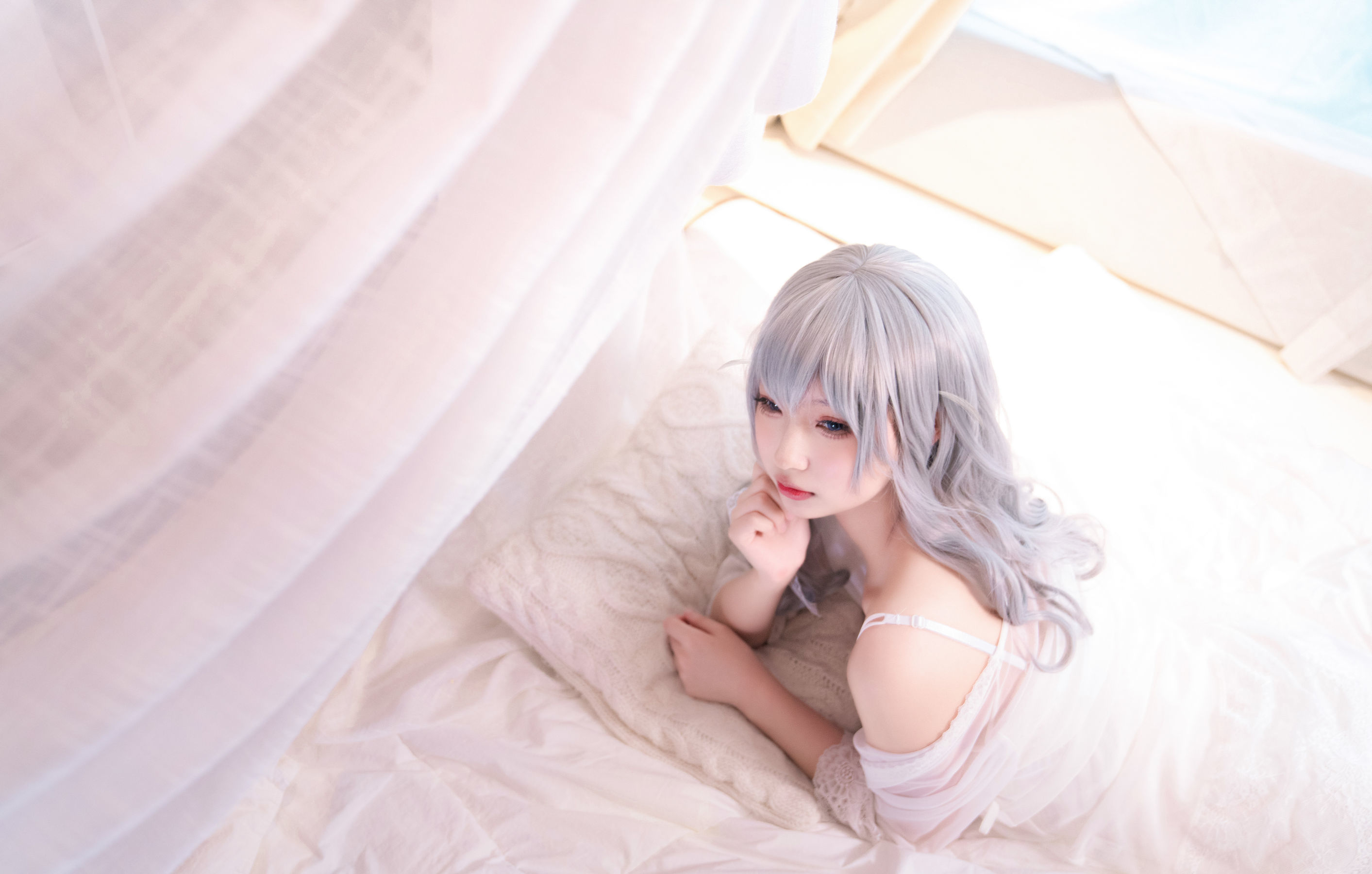 Phúc lợi COS] Orange Meow - Murmansk